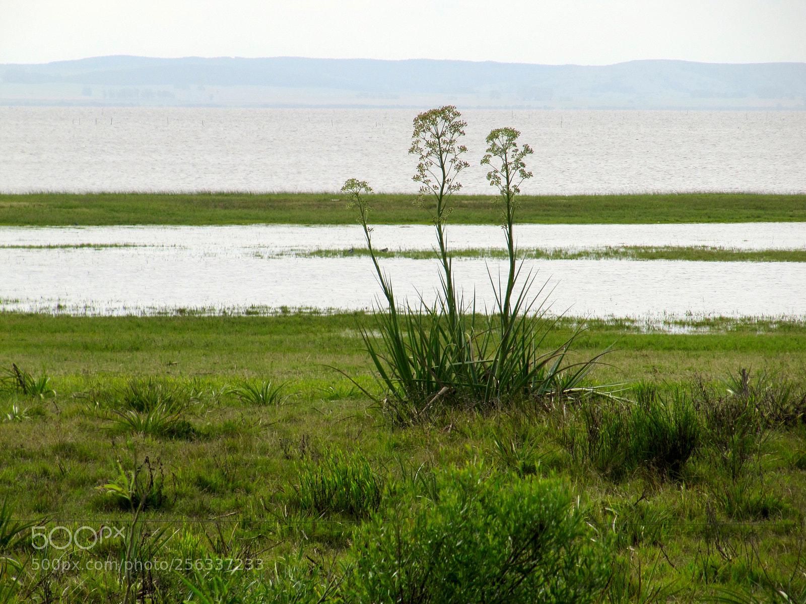 Canon PowerShot SX200 IS sample photo. Img photography