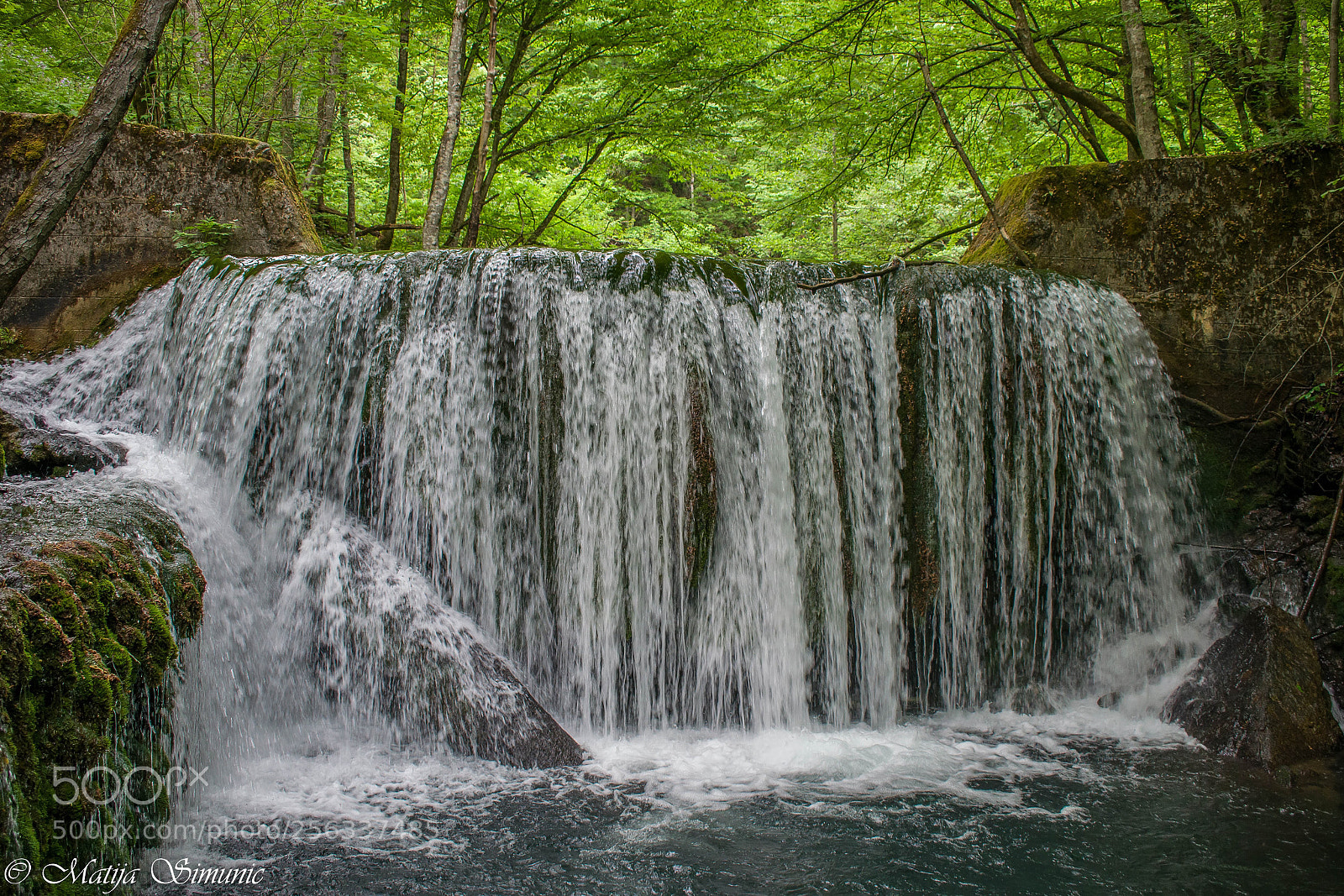 Nikon D5300 sample photo. Noisy creek photography