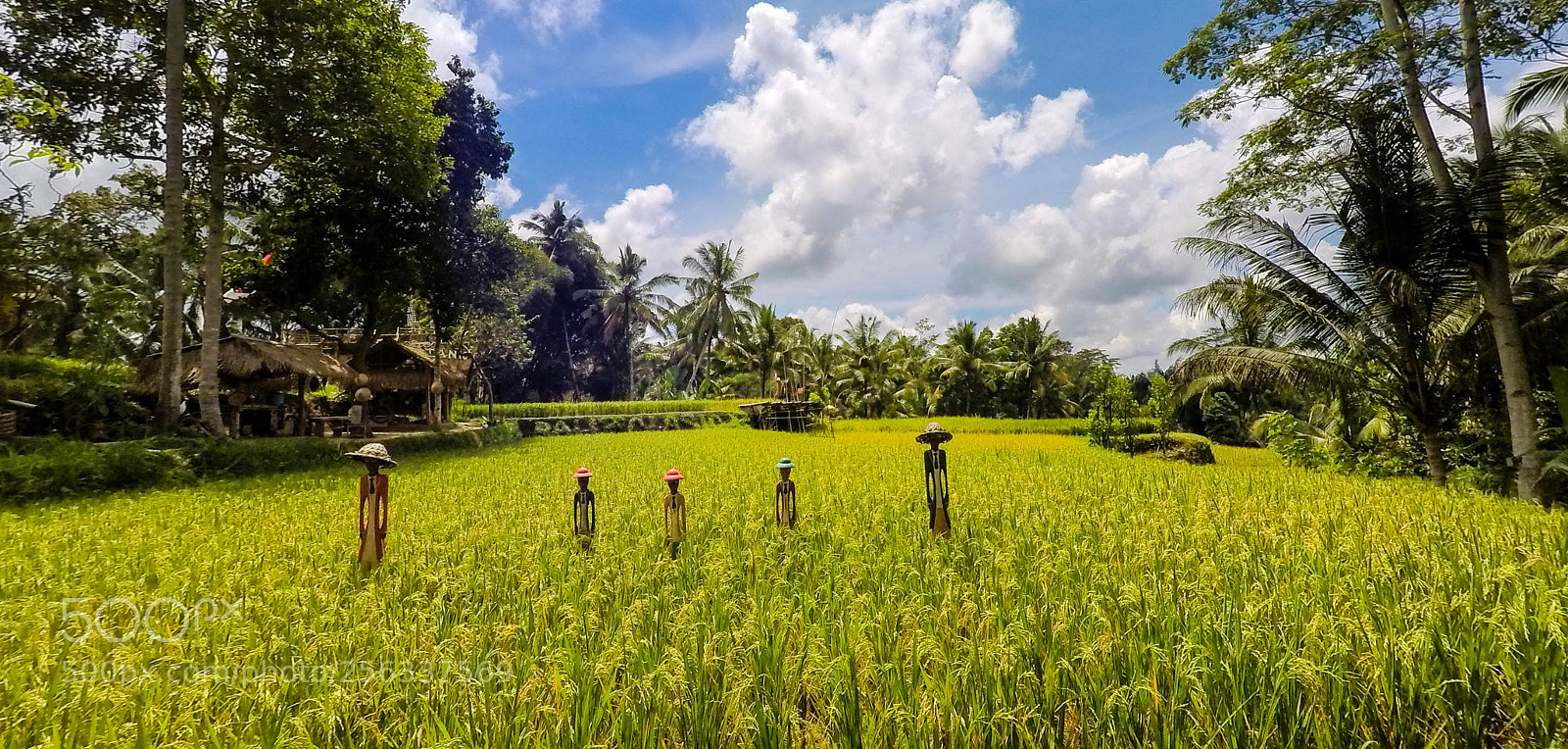 GoPro Hero5 Black sample photo. Scarecrow photography