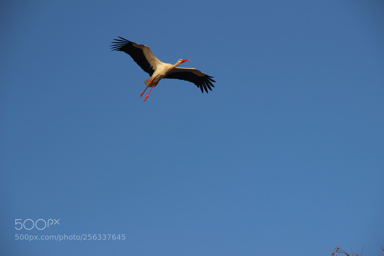 Canon EF-S 18-135mm F3.5-5.6 IS sample photo. Img photography