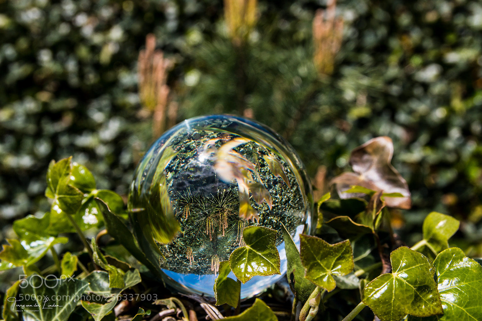 Canon EOS 70D sample photo. Lensball shoot photography