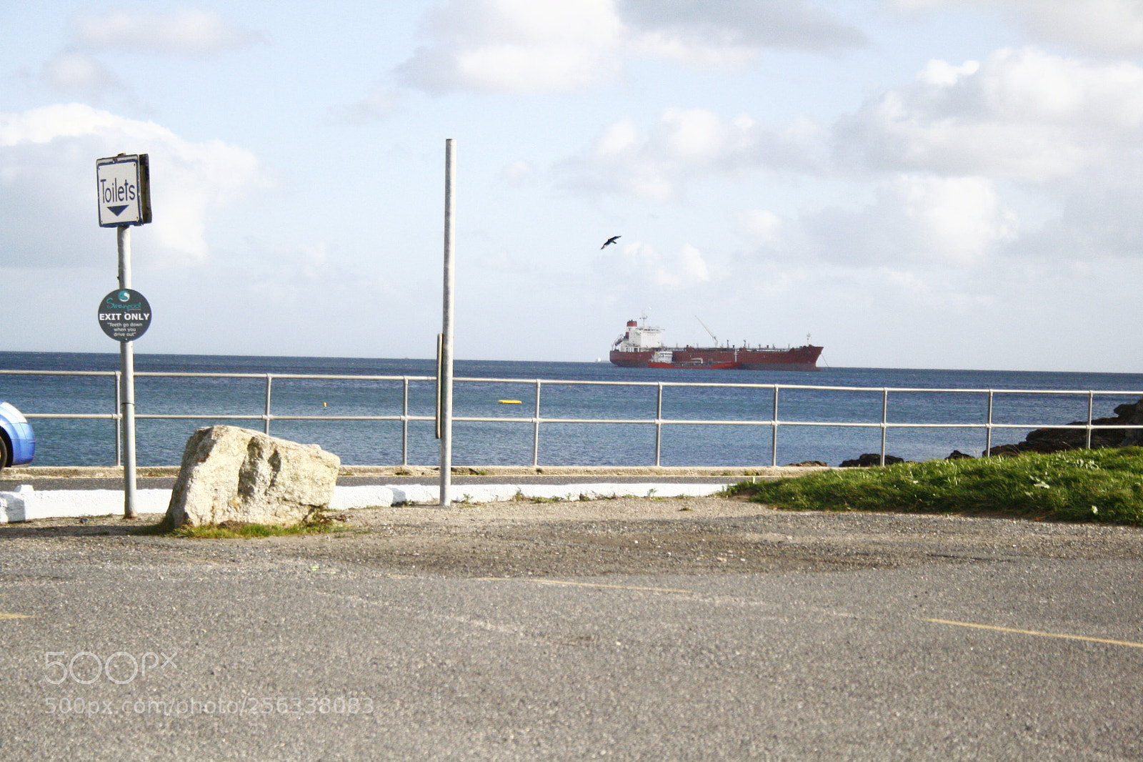 Canon EF-S 18-55mm F3.5-5.6 II sample photo. Mg photography