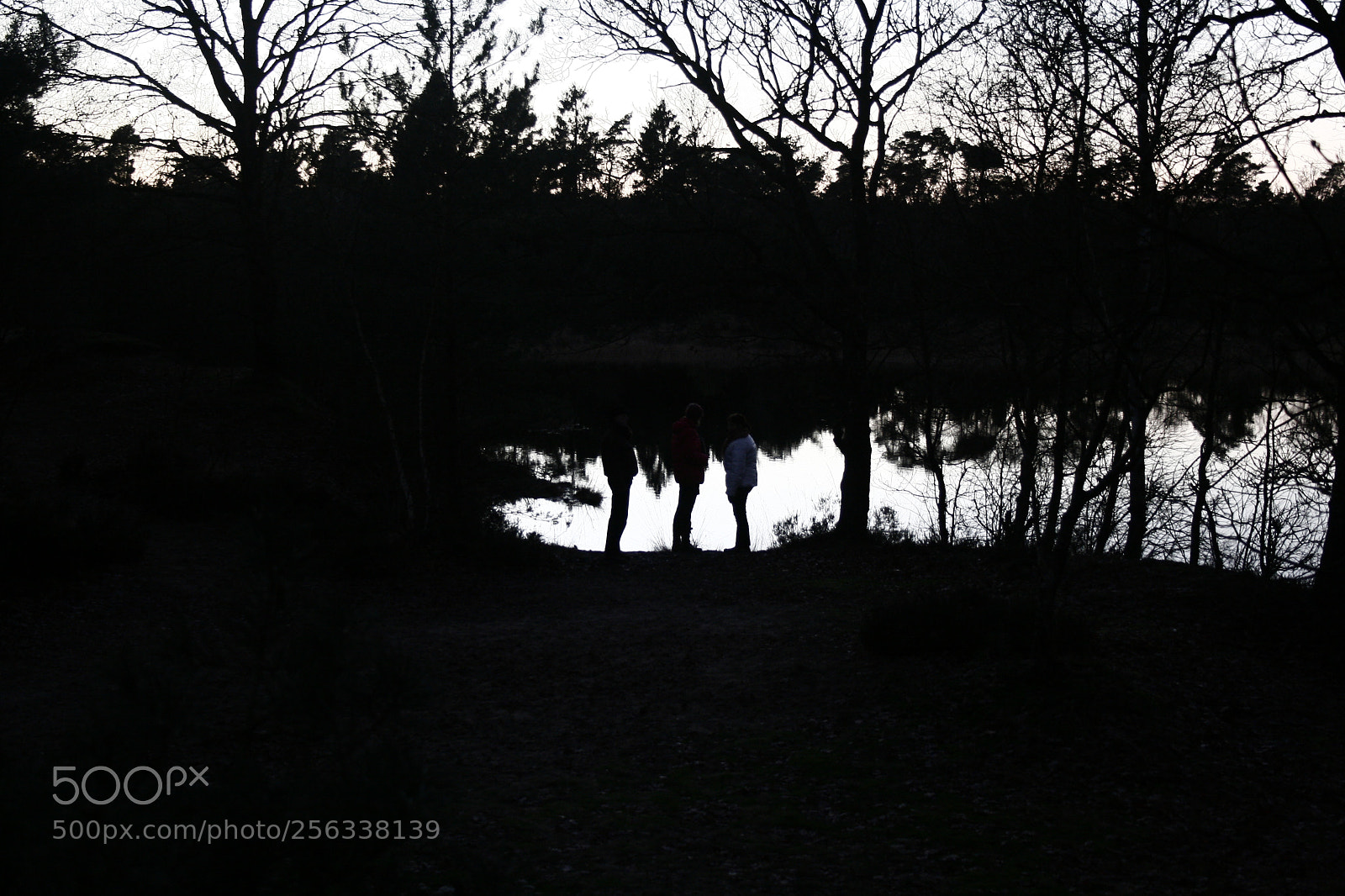 Canon EF-S 18-55mm F3.5-5.6 II sample photo. Mg photography