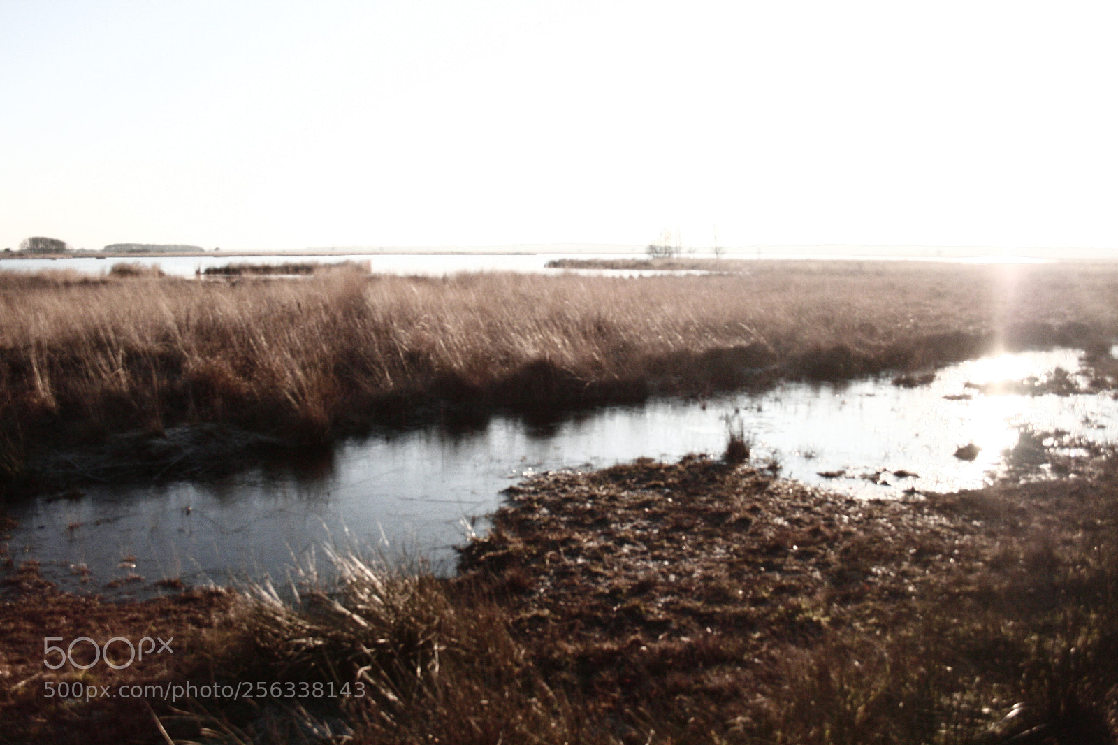 Canon EF-S 18-55mm F3.5-5.6 II sample photo. Mg photography
