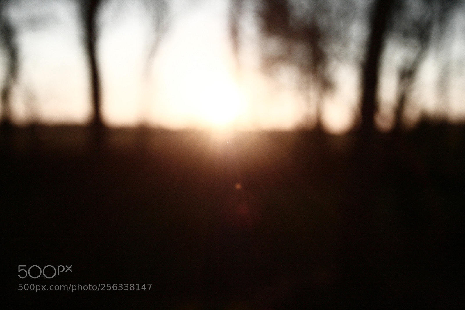 Canon EF-S 18-55mm F3.5-5.6 II sample photo. Mg photography