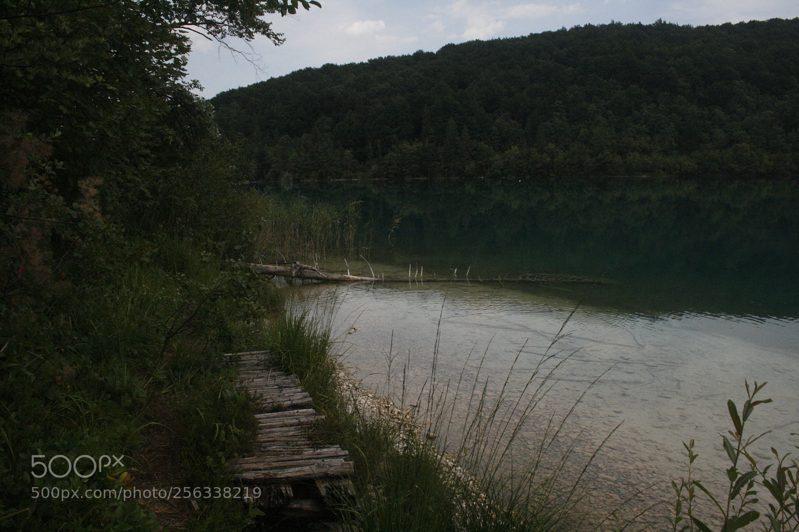 Canon EF-S 18-55mm F3.5-5.6 II sample photo. Mg photography