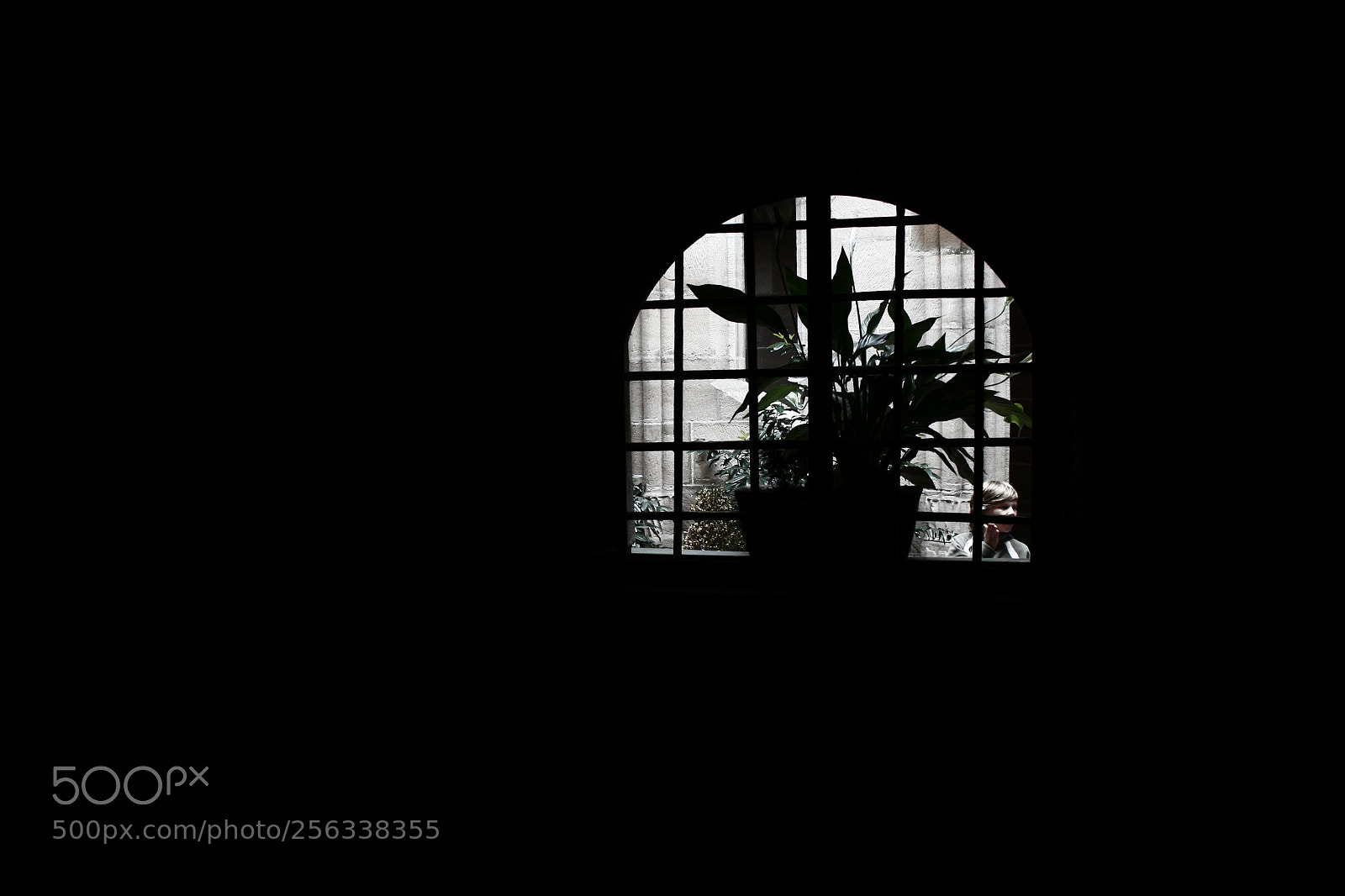 Canon EF-S 18-55mm F3.5-5.6 II sample photo. Mg photography