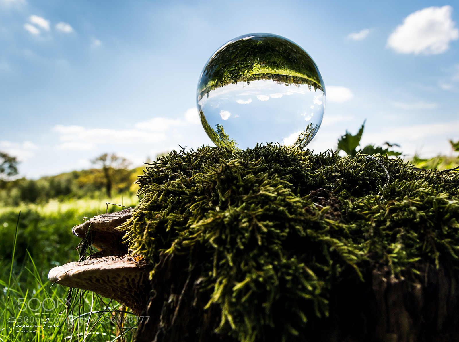 Canon EOS 70D sample photo. Lensball shoot photography