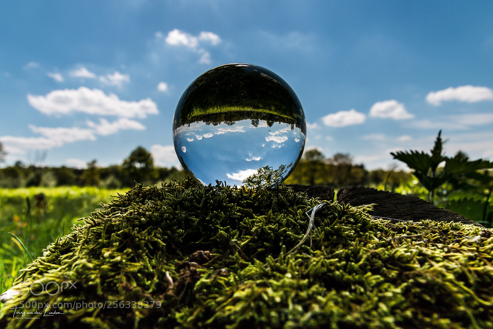 Canon EOS 70D sample photo. Lensball shoot photography