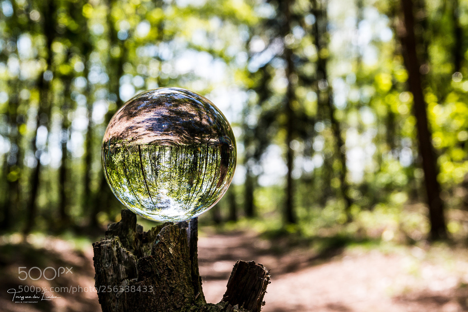 Canon EOS 70D sample photo. Lensball shoot photography