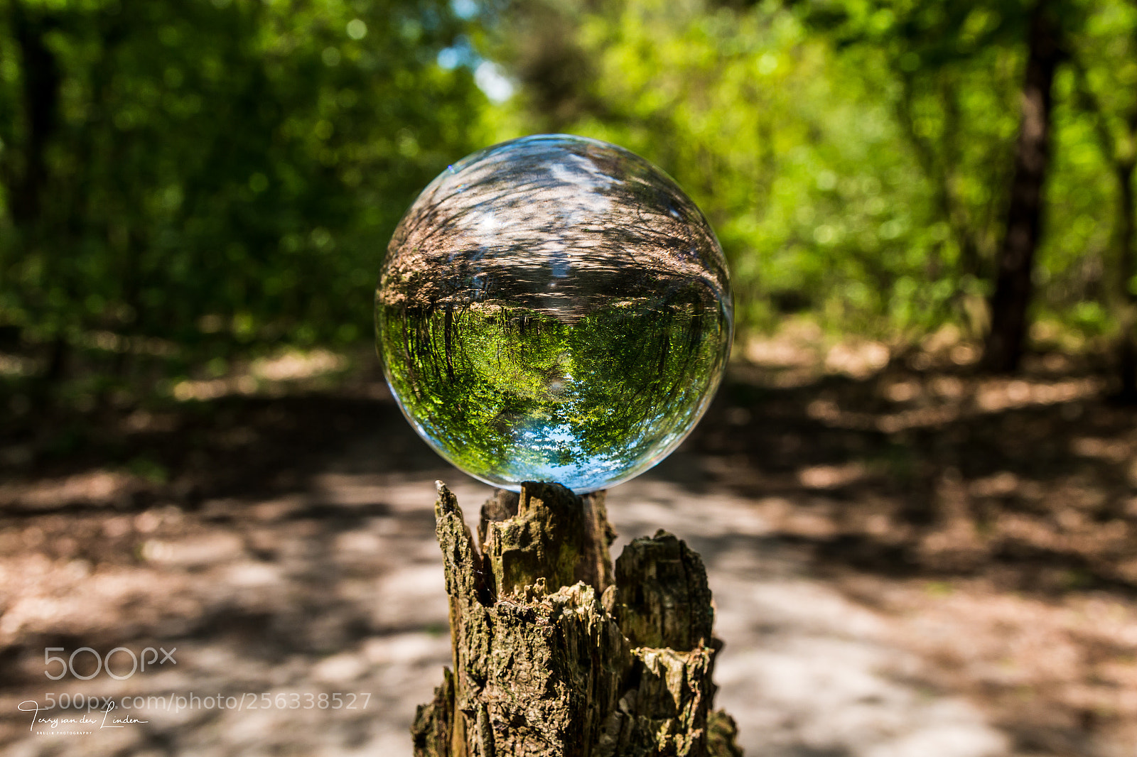 Canon EOS 70D sample photo. Lensball shoot photography