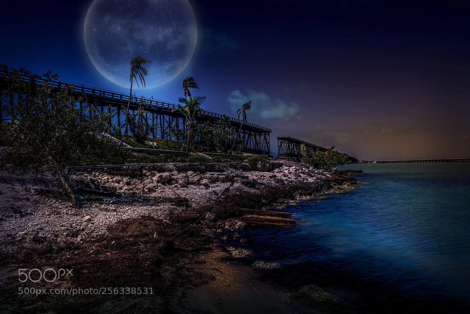 Nikon D800 sample photo. Bahia honda state park photography
