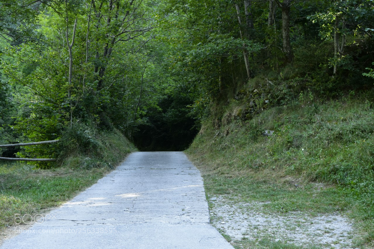 Nikon D7200 sample photo. Camino photography