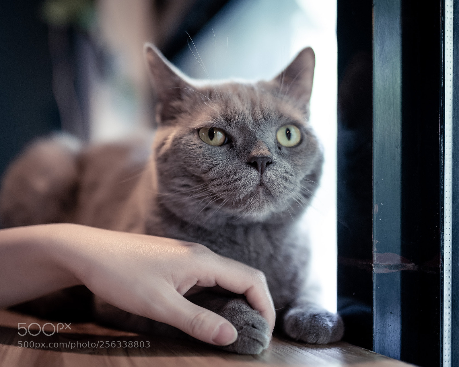 Nikon D750 sample photo. The girl and a photography