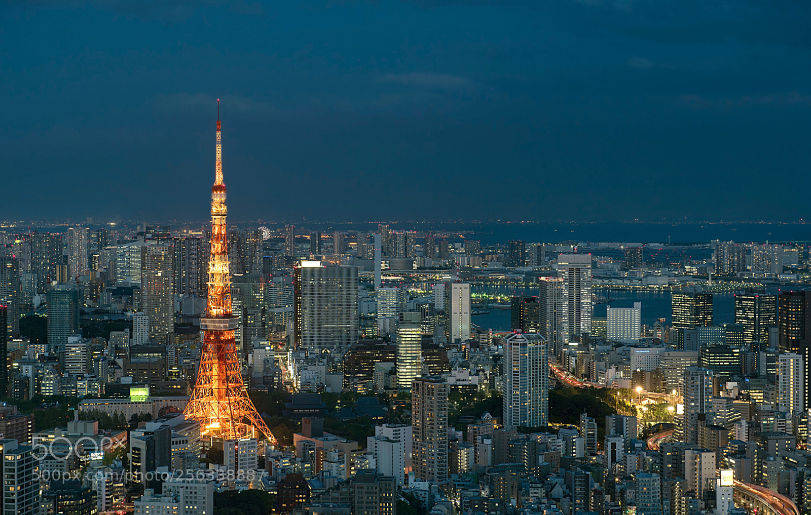 Nikon D750 sample photo. Tokio,japan.  photography