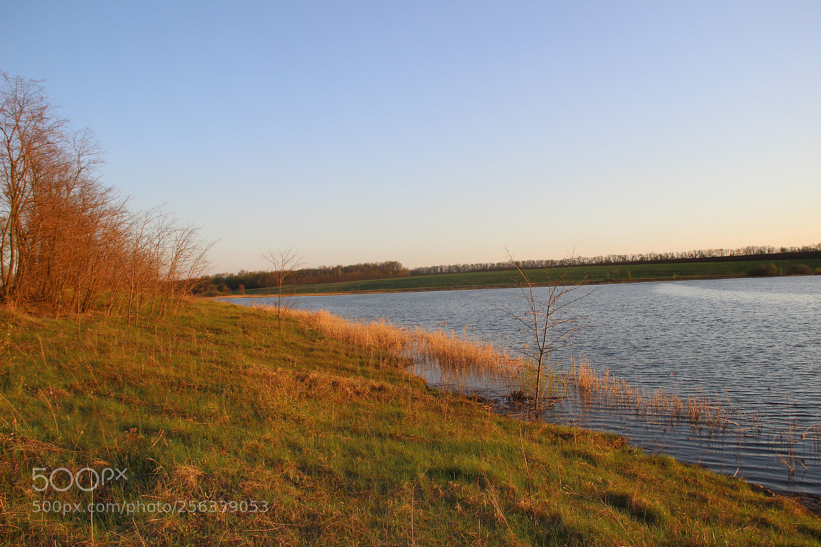 Canon EF-S 18-135mm F3.5-5.6 IS sample photo. Img photography
