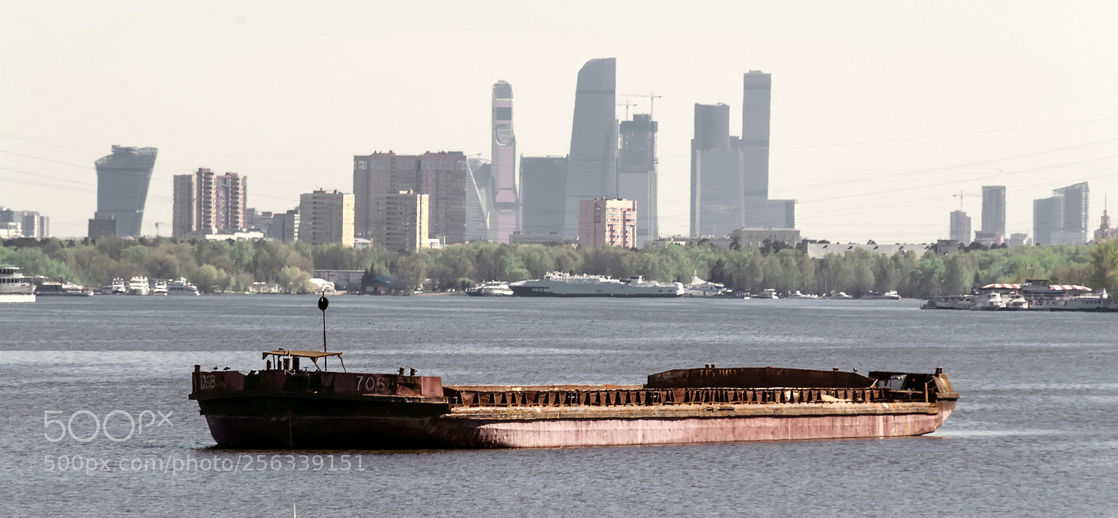 Nikon D5100 sample photo. канал photography