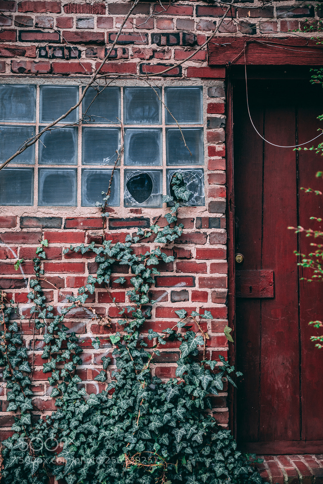 Canon EOS 5D Mark IV sample photo. Brick and vine photography