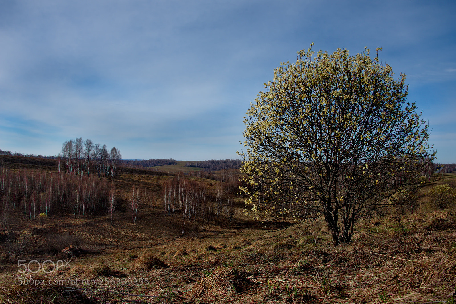 Nikon D750 sample photo. Russia. the south of photography
