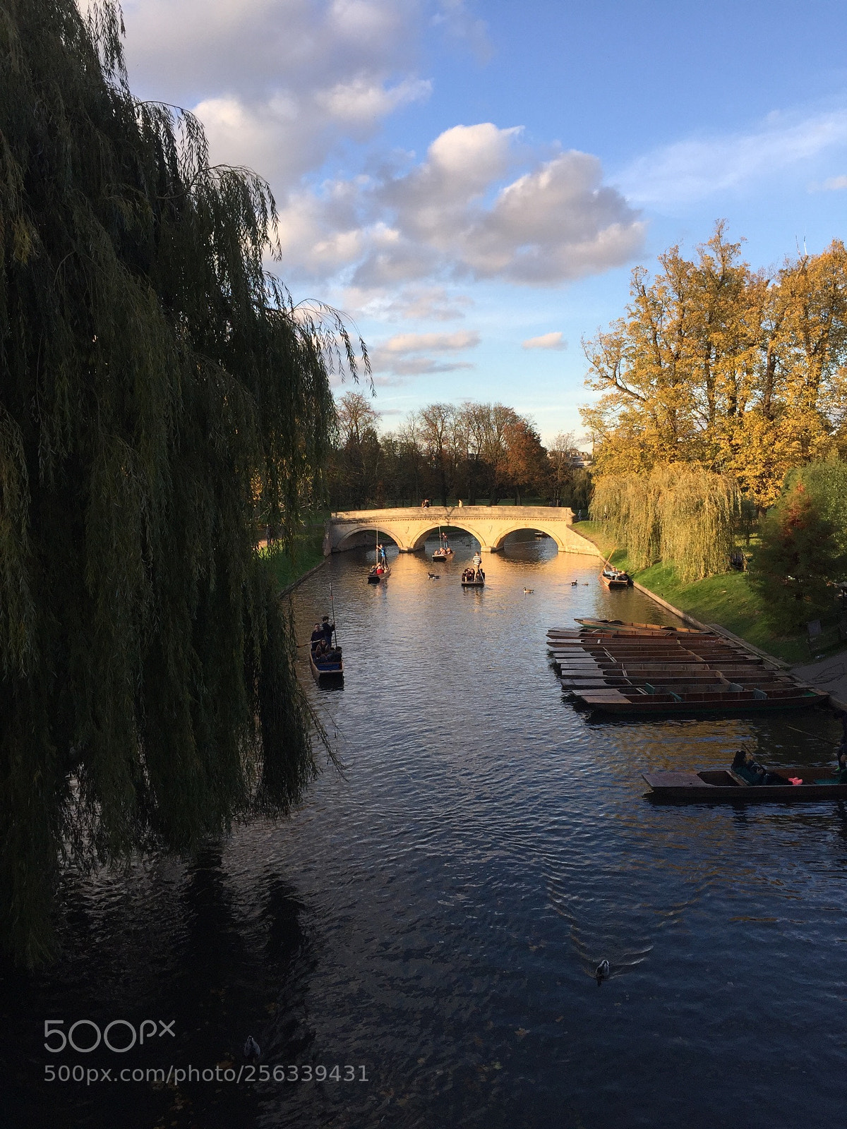 Apple iPhone 6 sample photo. Cambridge, cambridgeshire photography