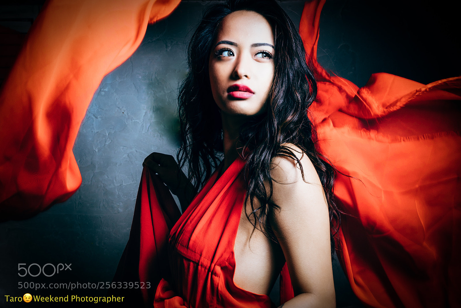 Canon EOS 5D Mark IV sample photo. Red photography