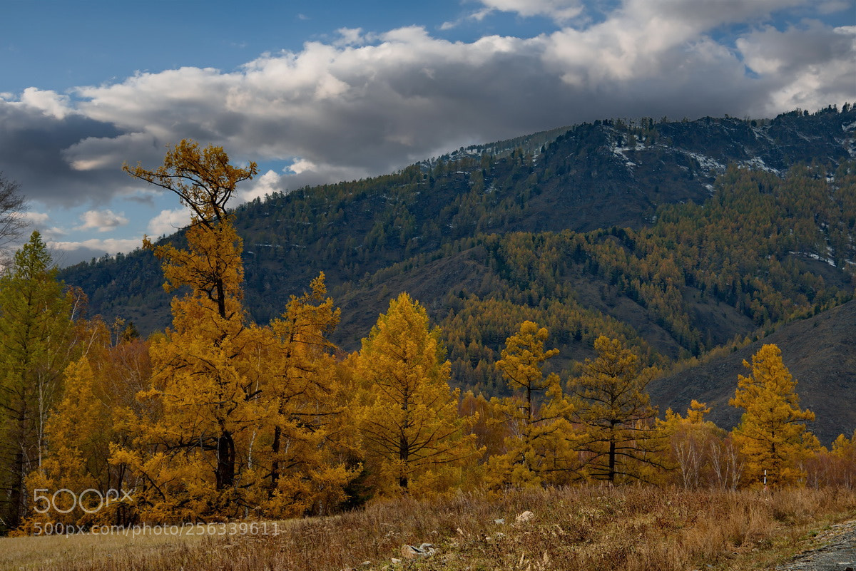 Nikon D750 sample photo. Russia. the south of photography