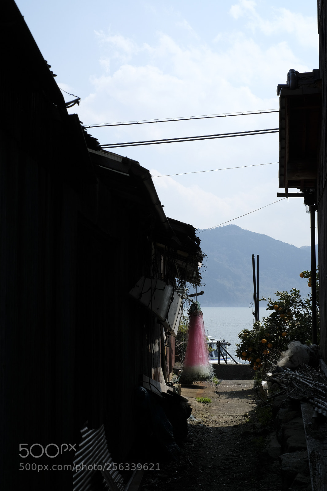Fujifilm X-Pro2 sample photo. Untitled photography