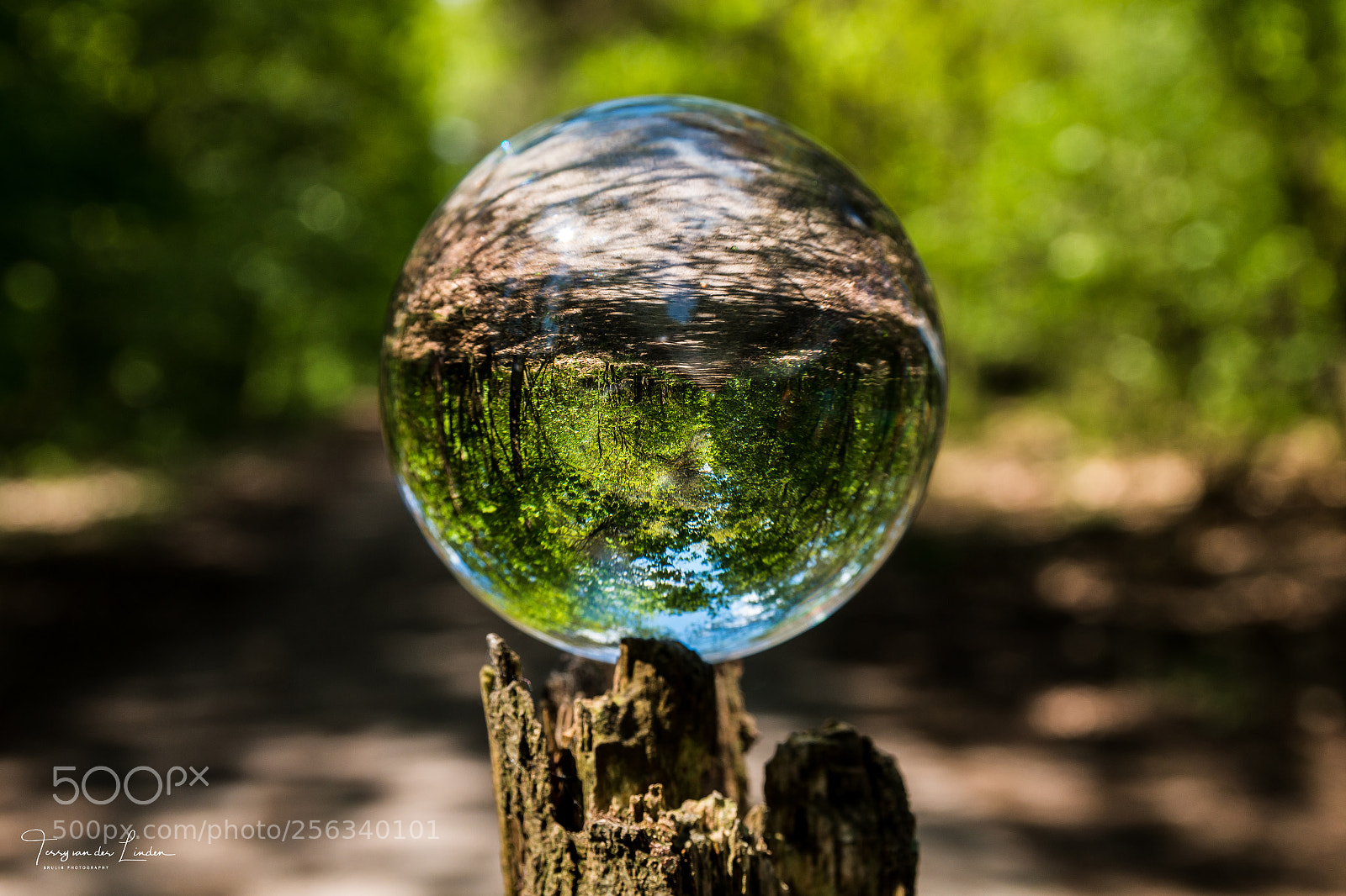 Canon EOS 70D sample photo. Lensball shoot photography