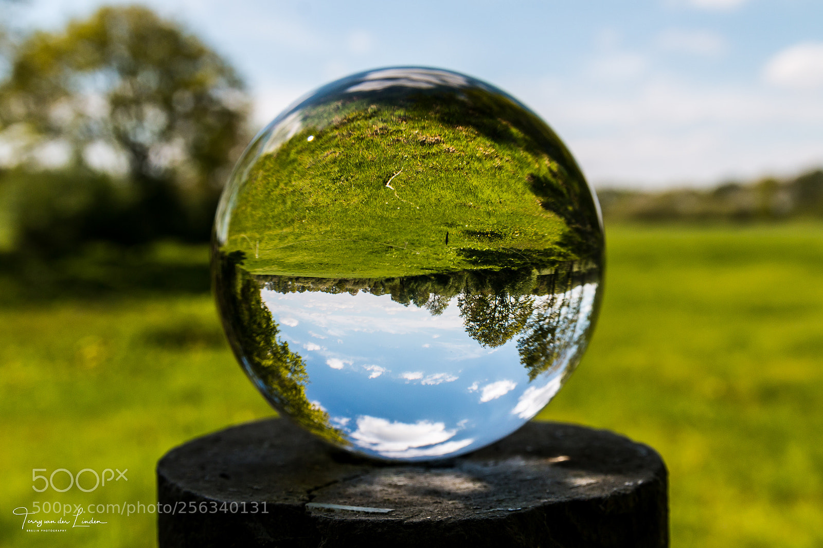 Canon EOS 70D sample photo. Lensball shoot photography