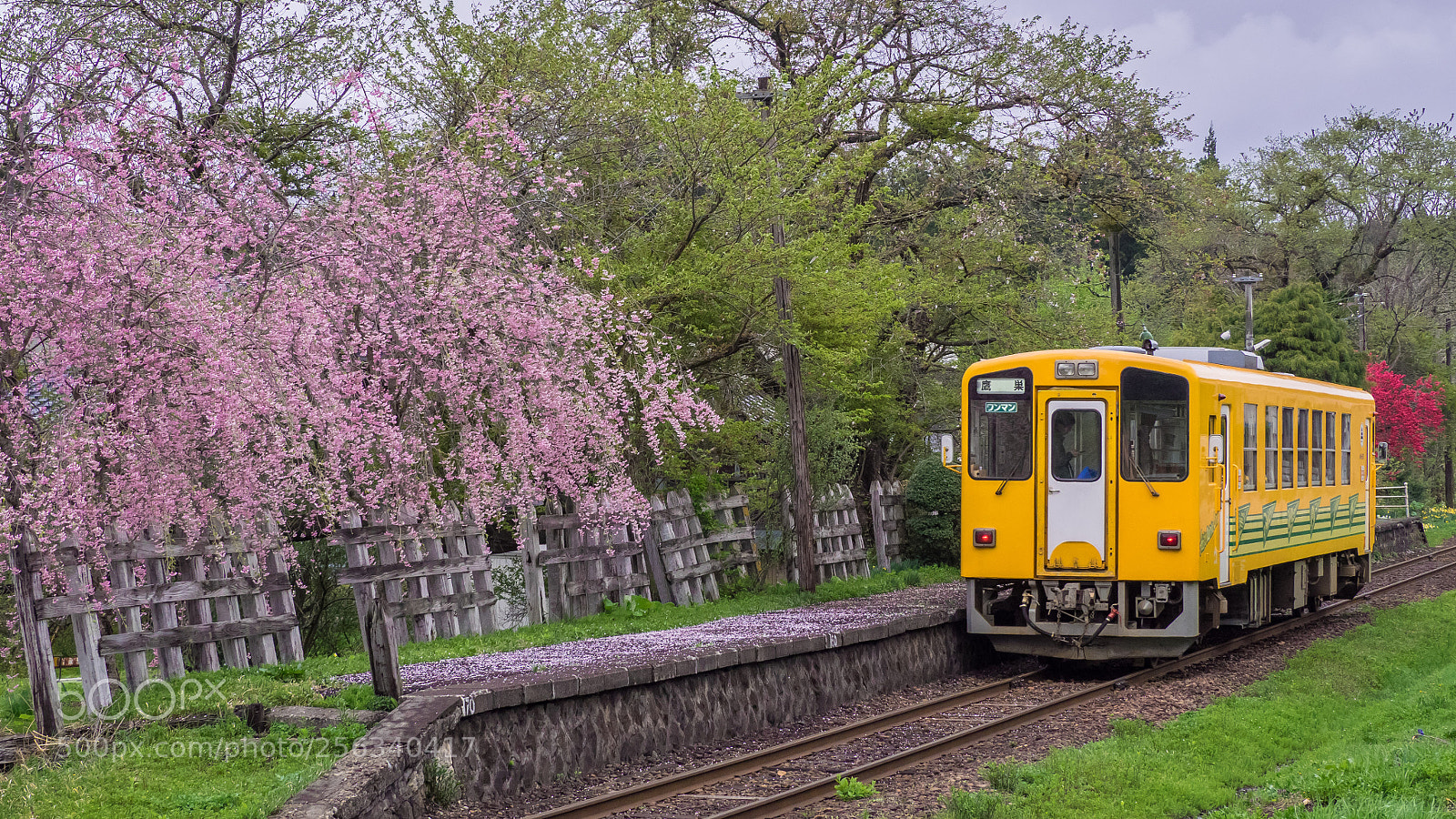 Olympus OM-D E-M1 sample photo. Local station photography