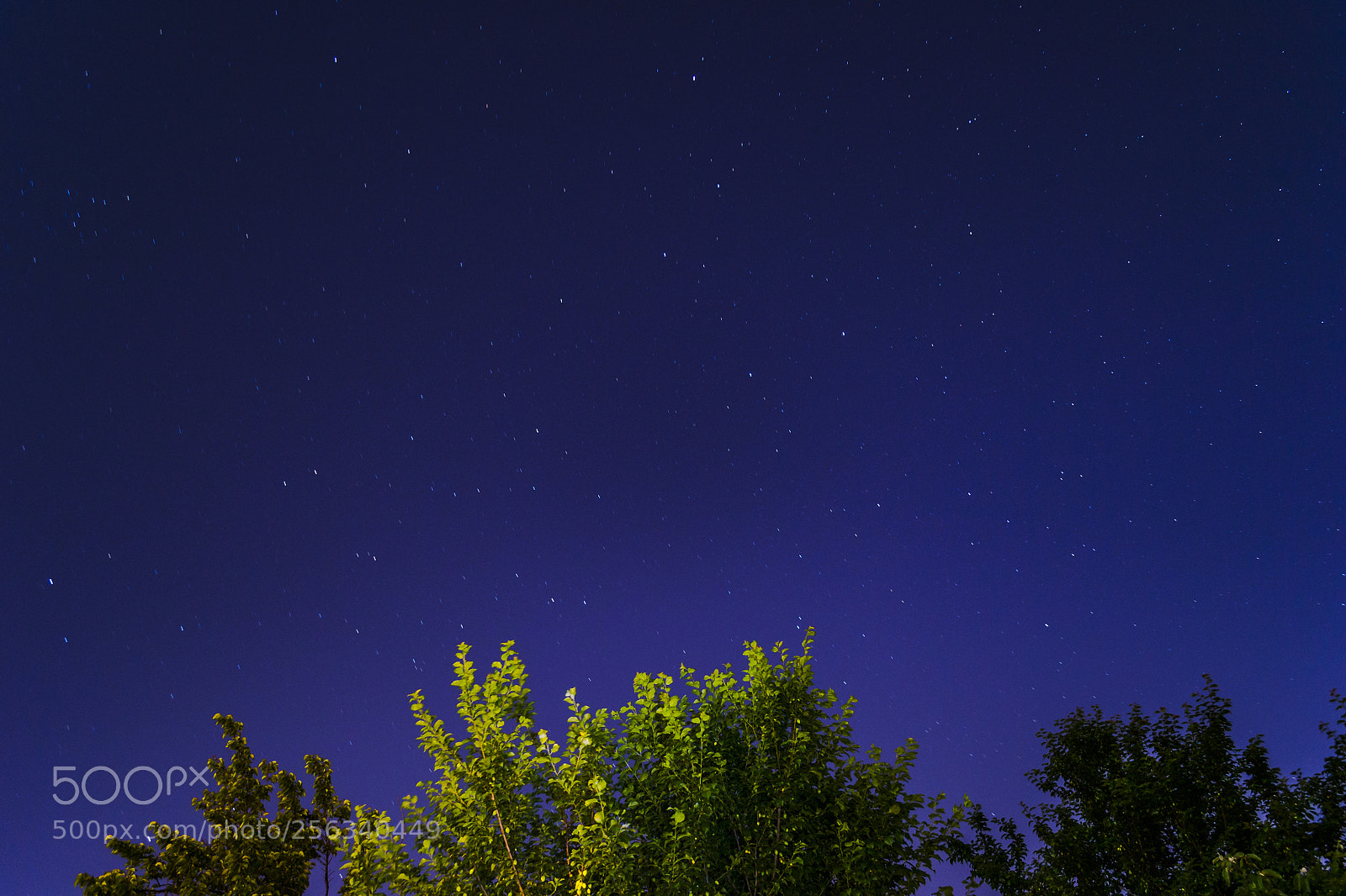 Nikon D3100 sample photo. Night photography