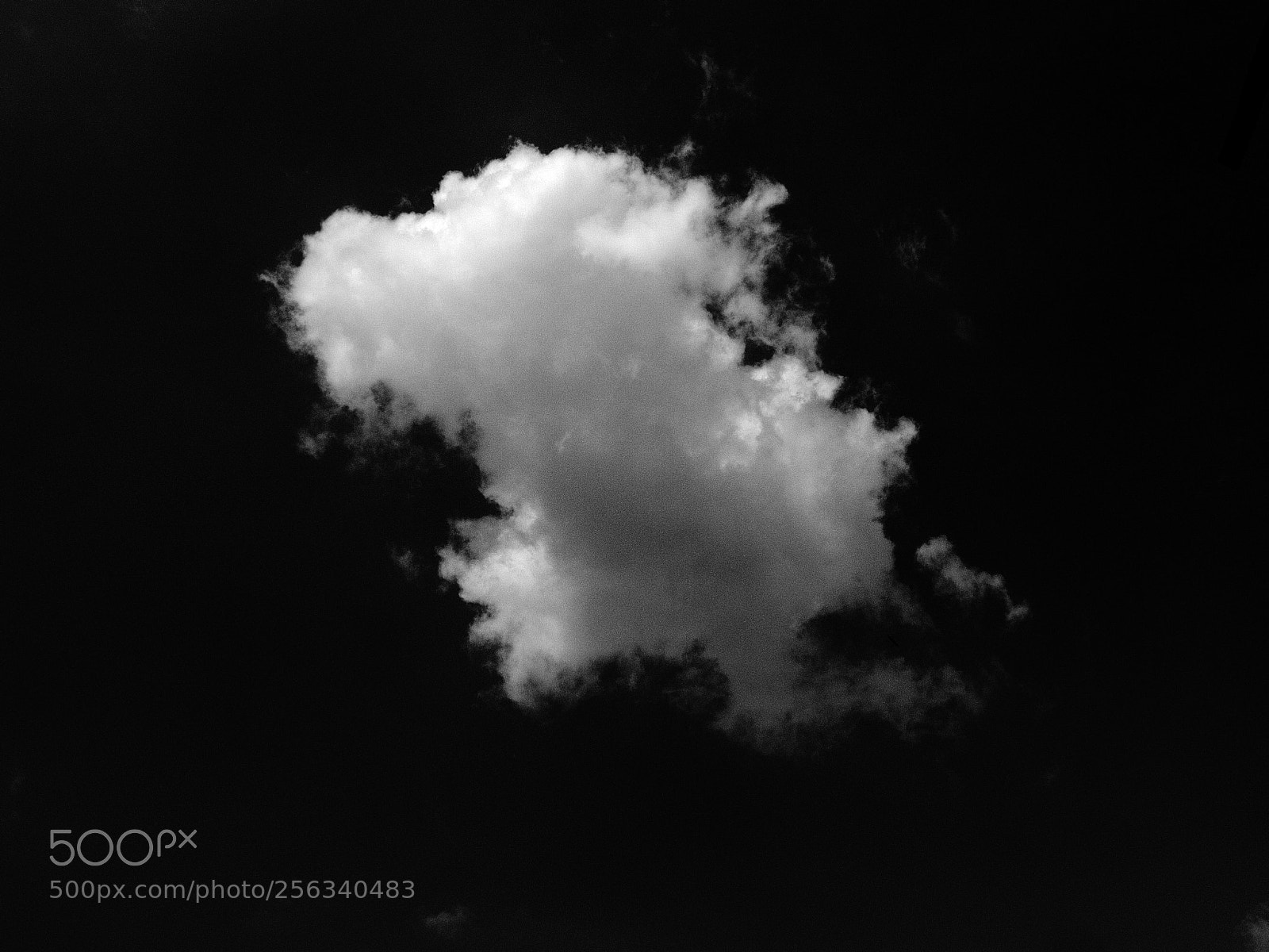 Fujifilm X20 sample photo. Вечные странники eternal wanderers photography