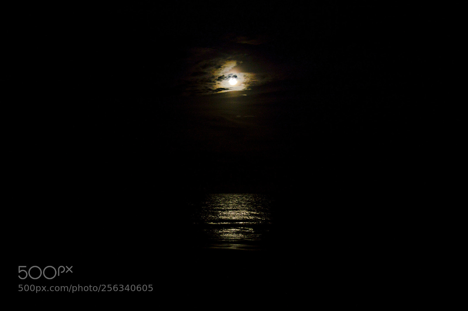 Nikon D3200 sample photo. 18.jpg photography