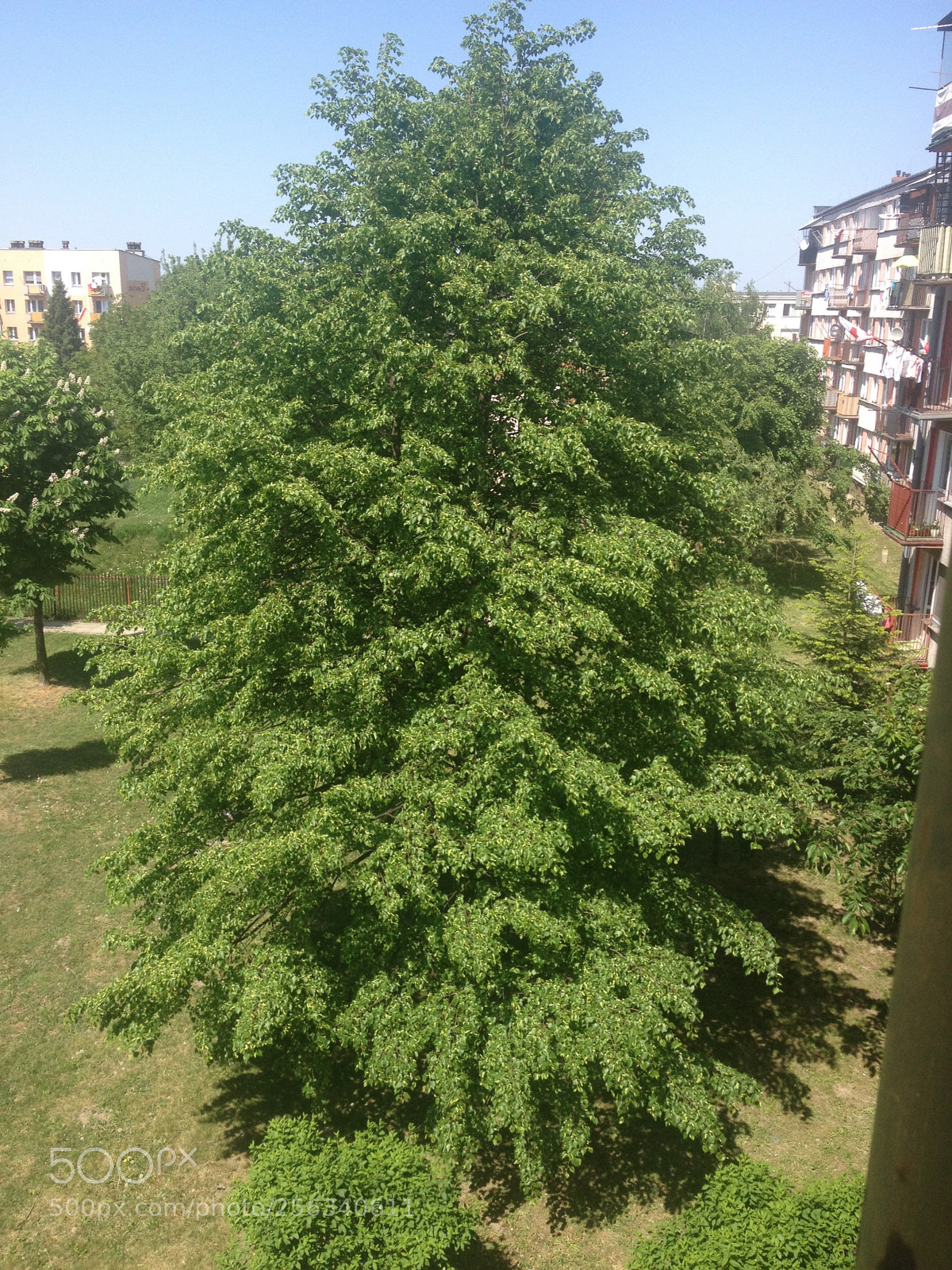 Apple iPhone 4S sample photo. Debica poland  photography