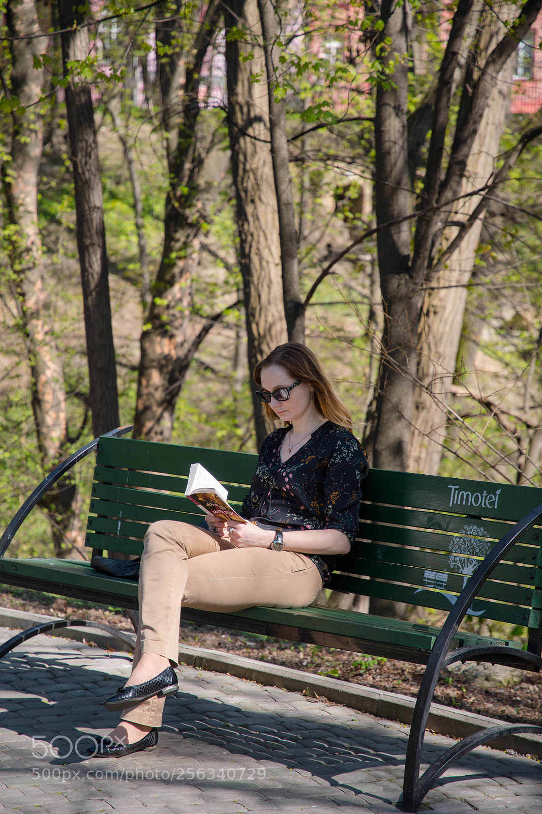 Nikon D500 sample photo. Botanical garden photography