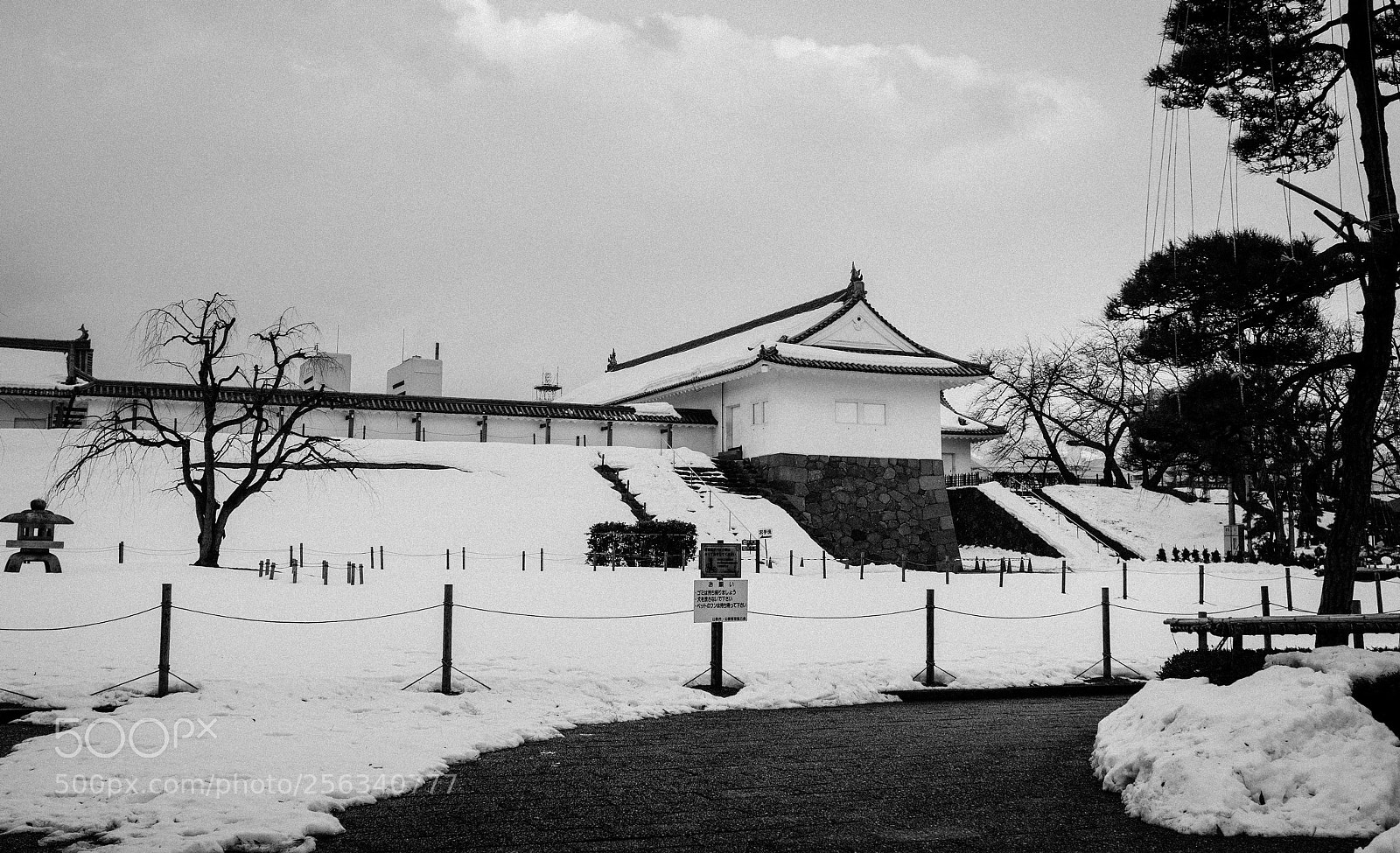 Fujifilm FinePix X100 sample photo. The memory photography