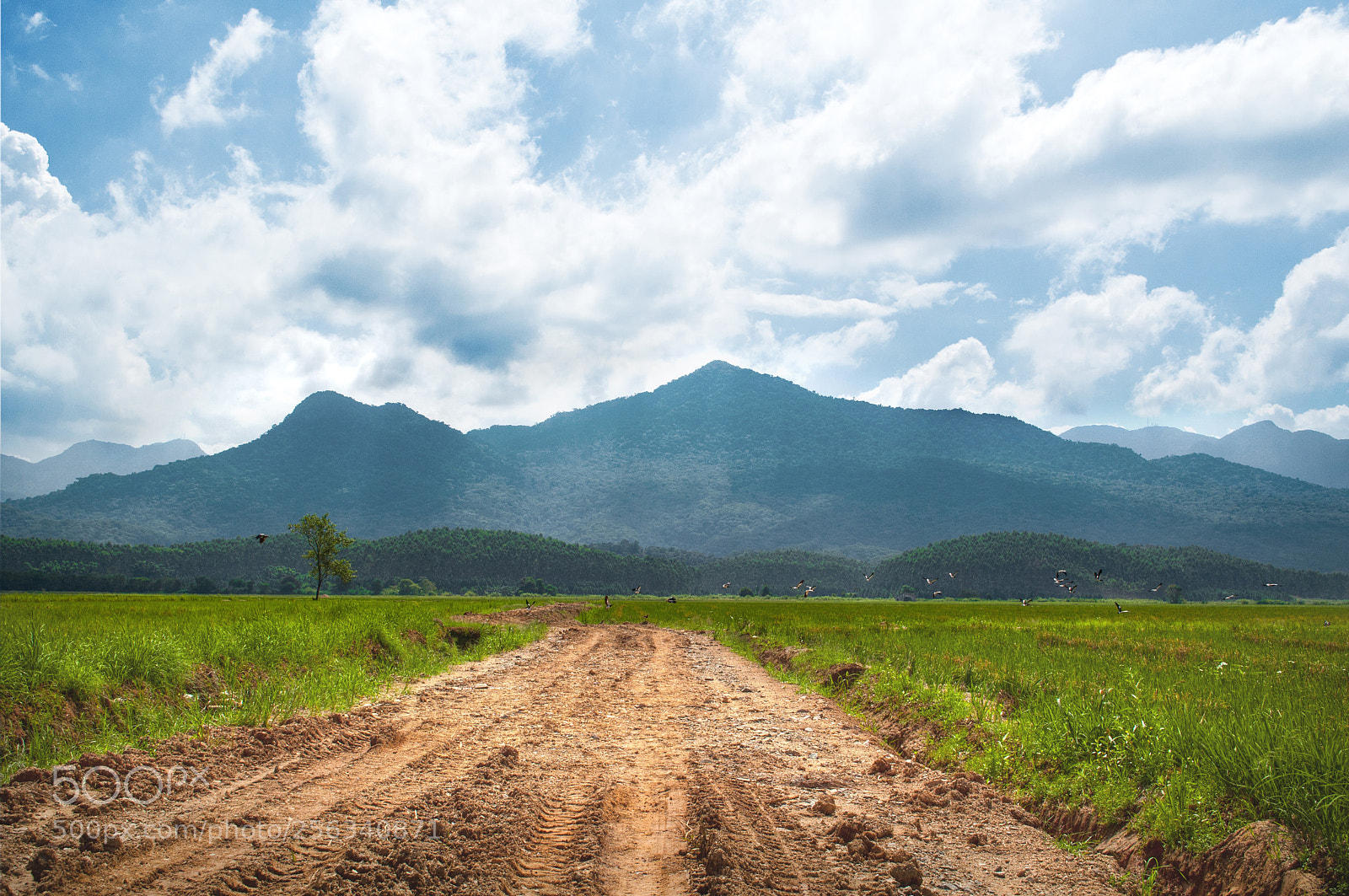 Nikon D5000 sample photo. Path is the mountain photography