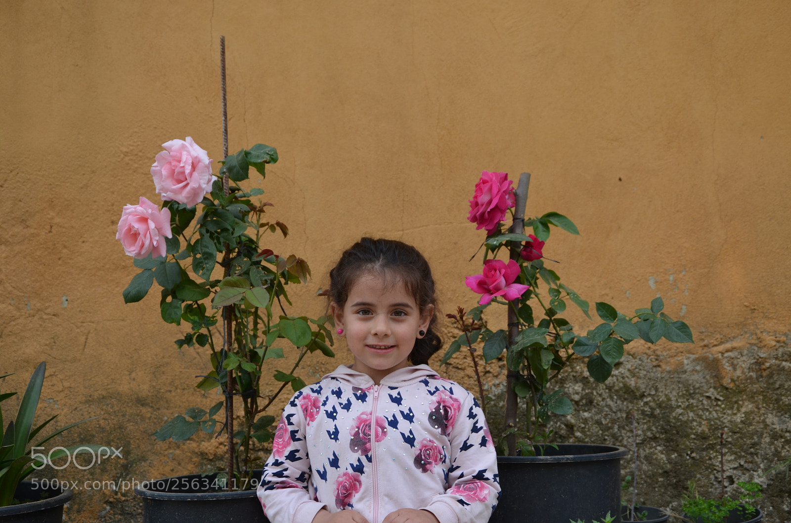 Nikon D5100 sample photo. İlk modelim kendisi (prenses) photography