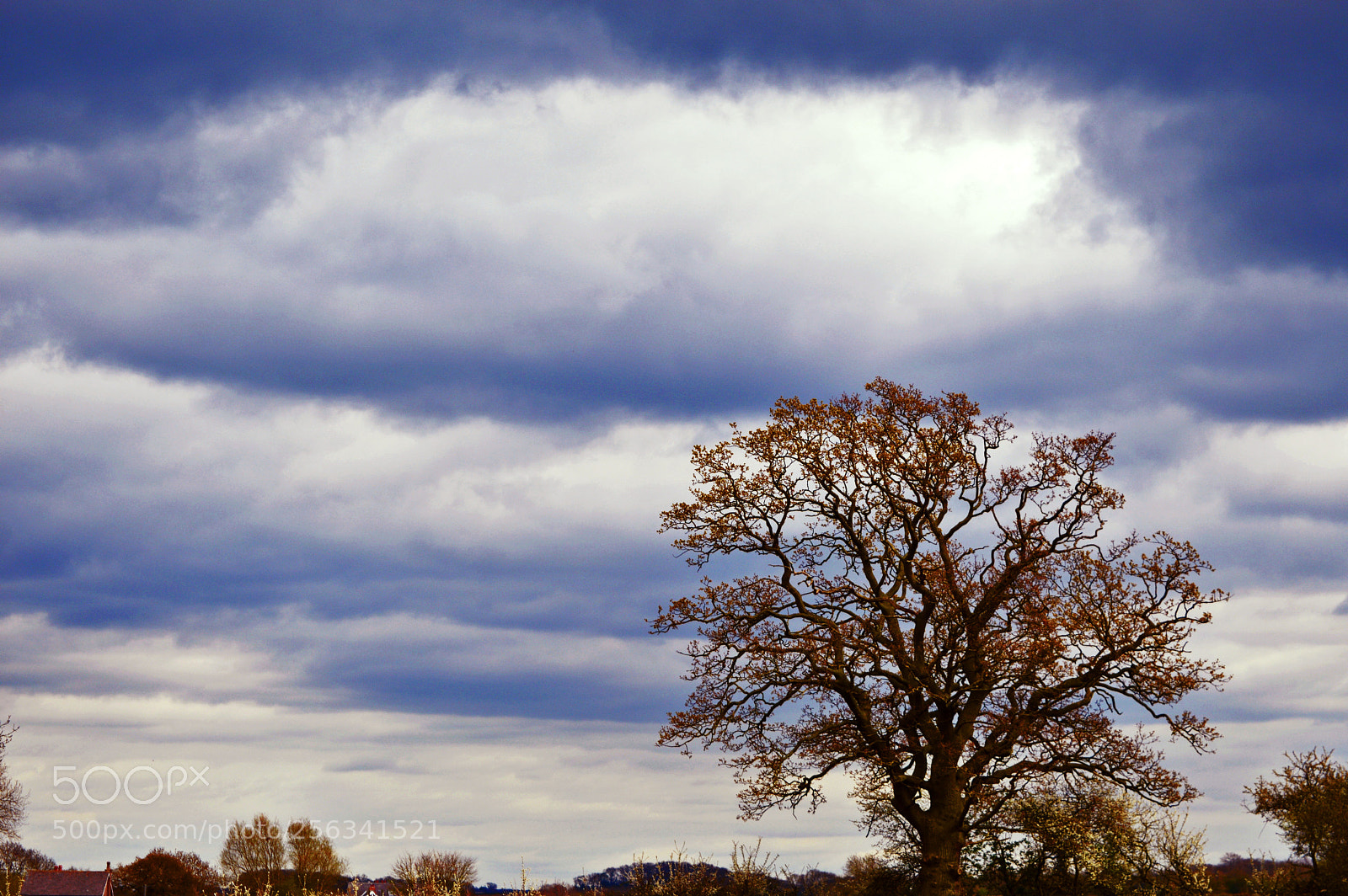 Nikon D3200 sample photo. Sky series photography