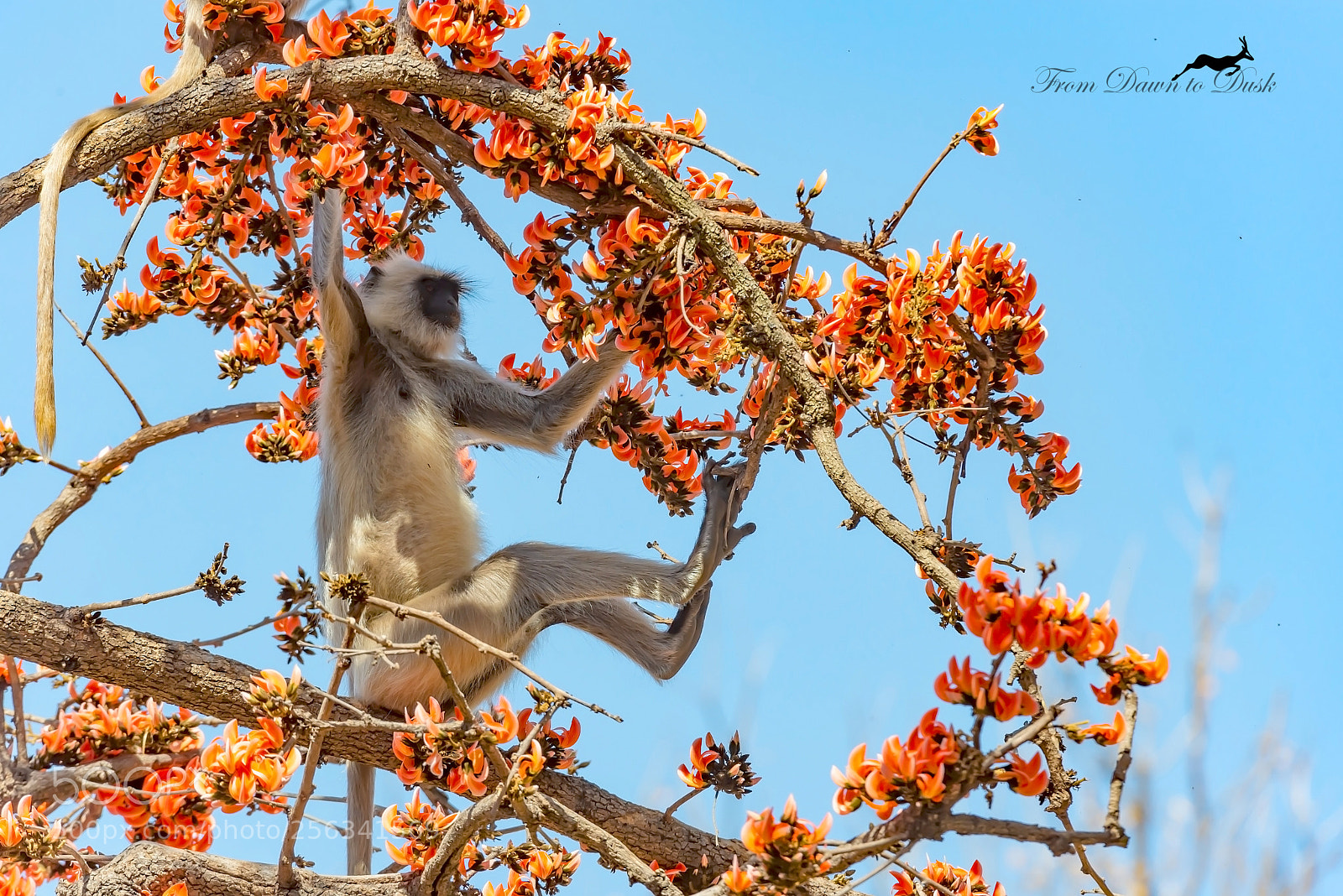 Nikon D600 sample photo. Acrobatic lunch photography
