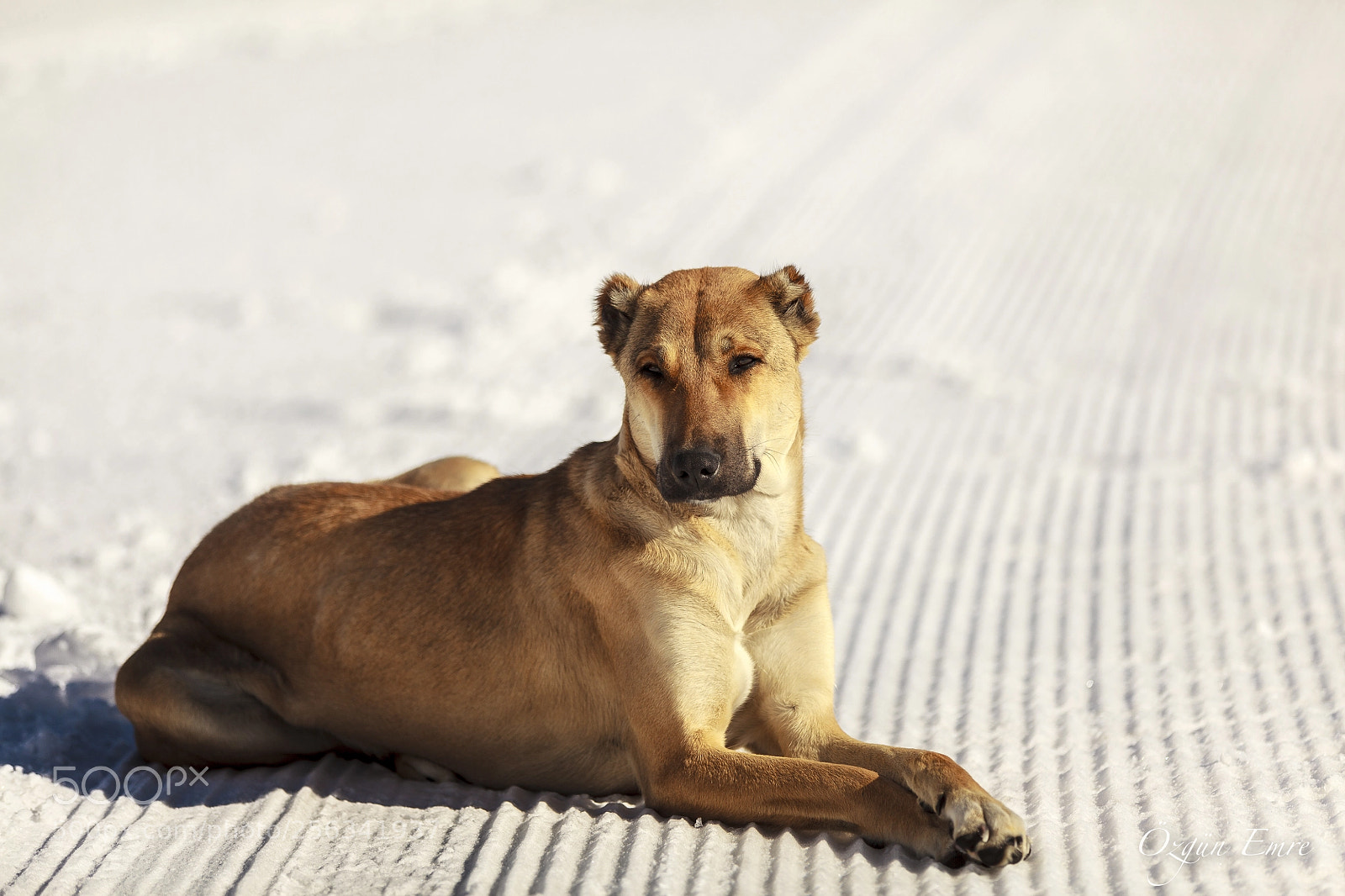 Canon EOS 5D Mark II sample photo. Where is my coffee? photography
