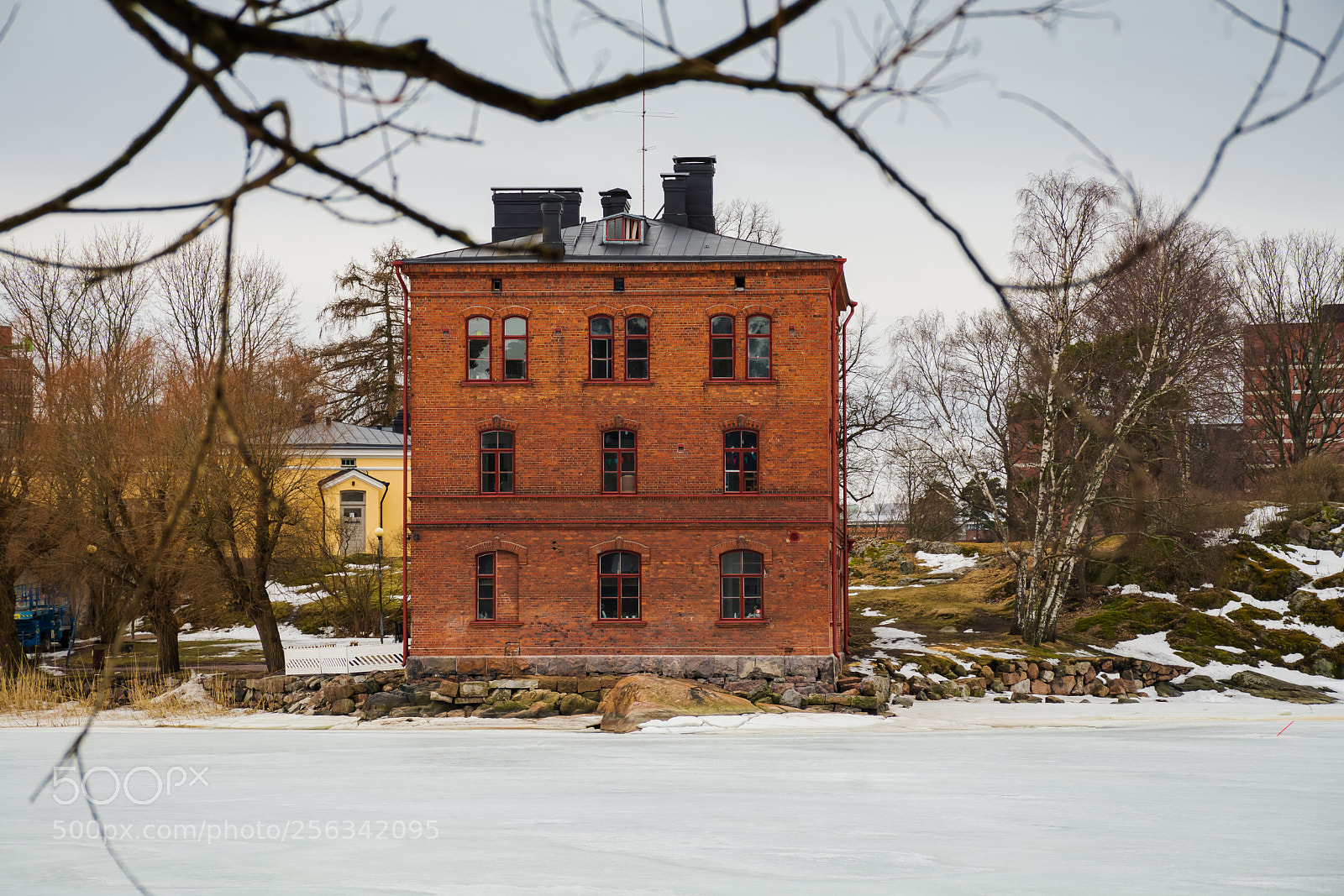 Nikon D7100 sample photo. Frozen nature.. photography