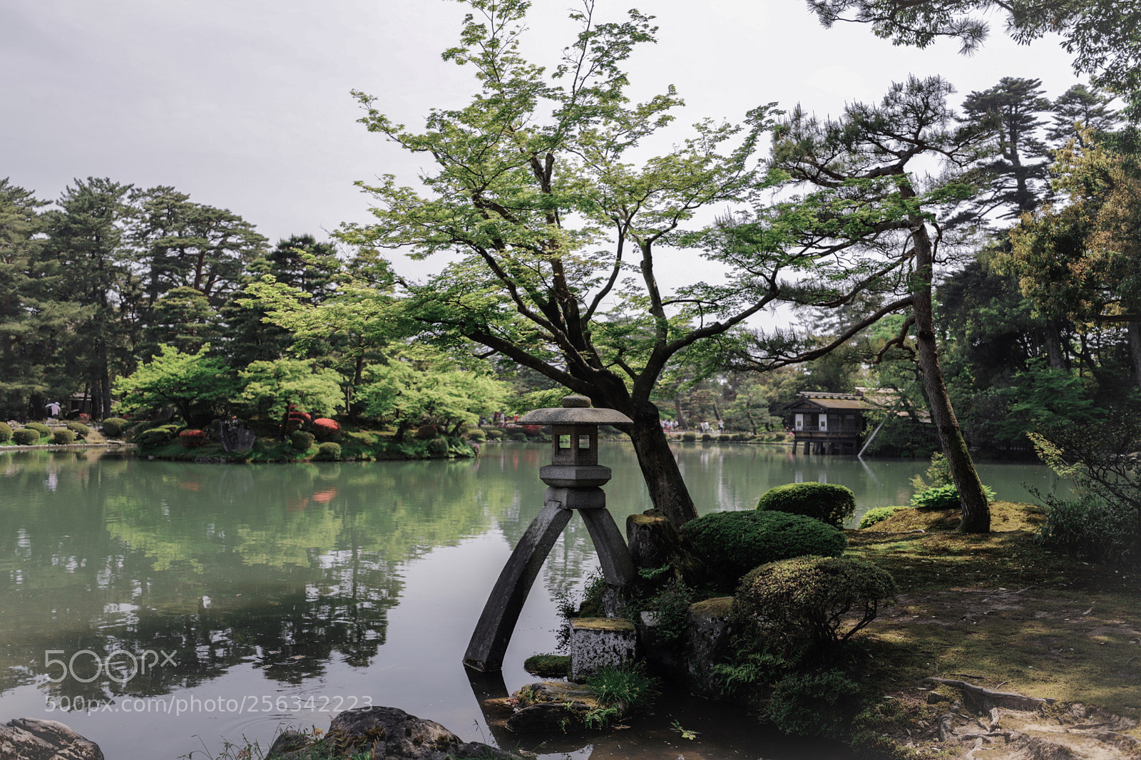 Canon EOS 6D Mark II sample photo. Kenroku - en photography