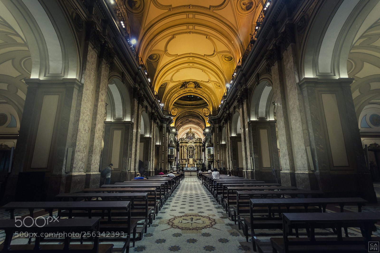 Nikon D7200 sample photo. Catedral metropolitana photography