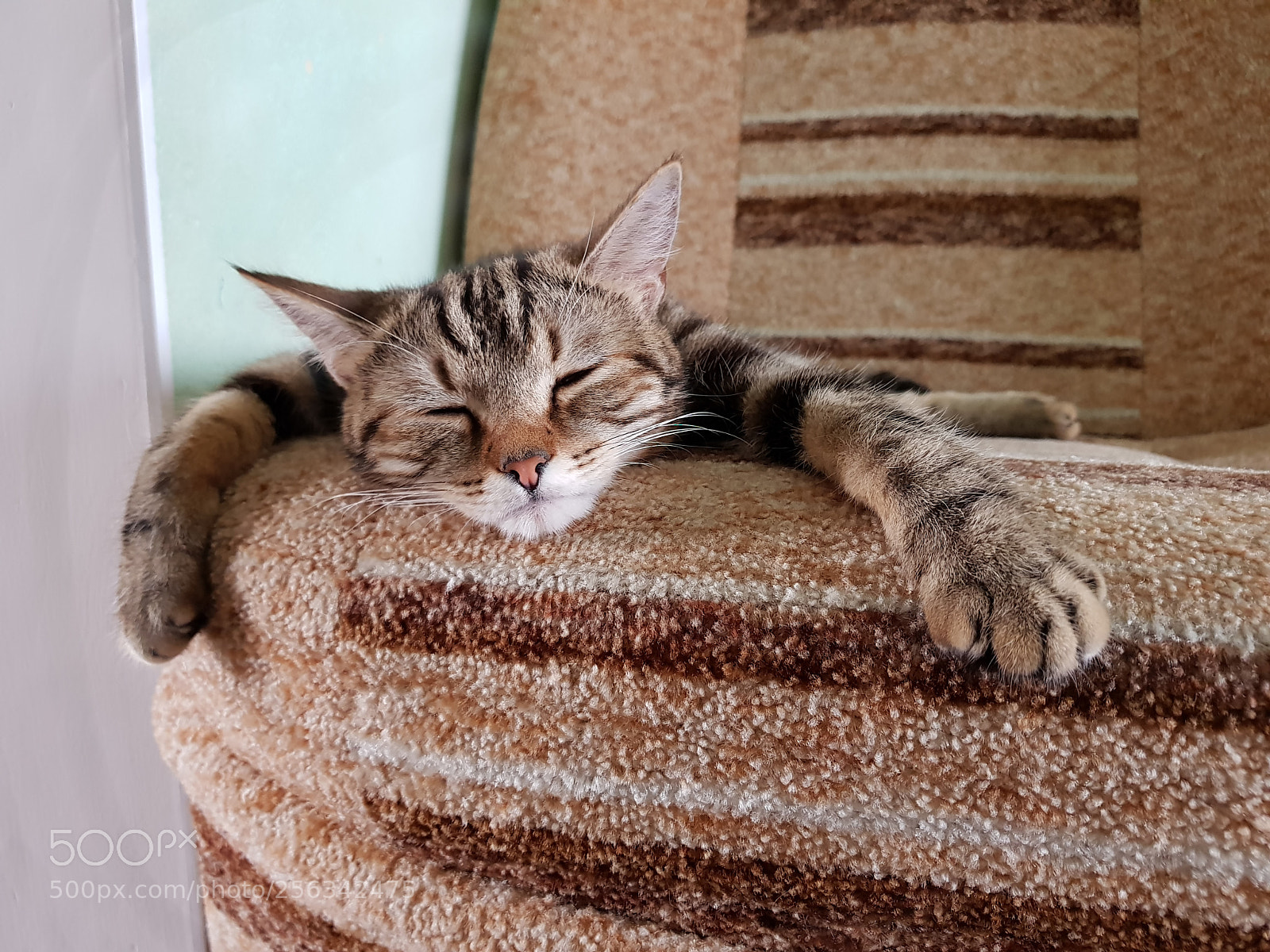 Samsung Galaxy S8+ sample photo. Untitled photography
