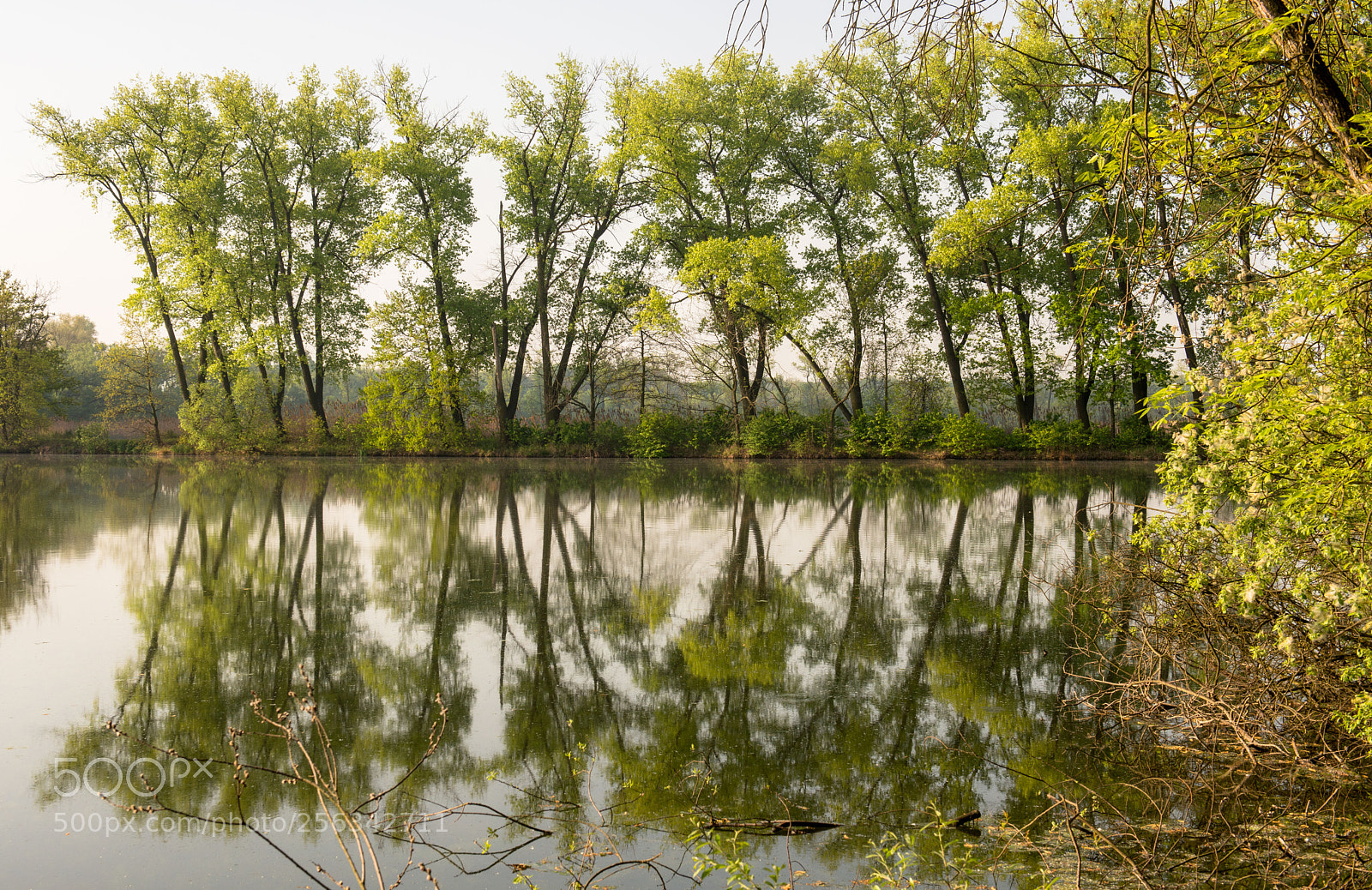 Nikon D800 sample photo. Zrcadlení 5 photography