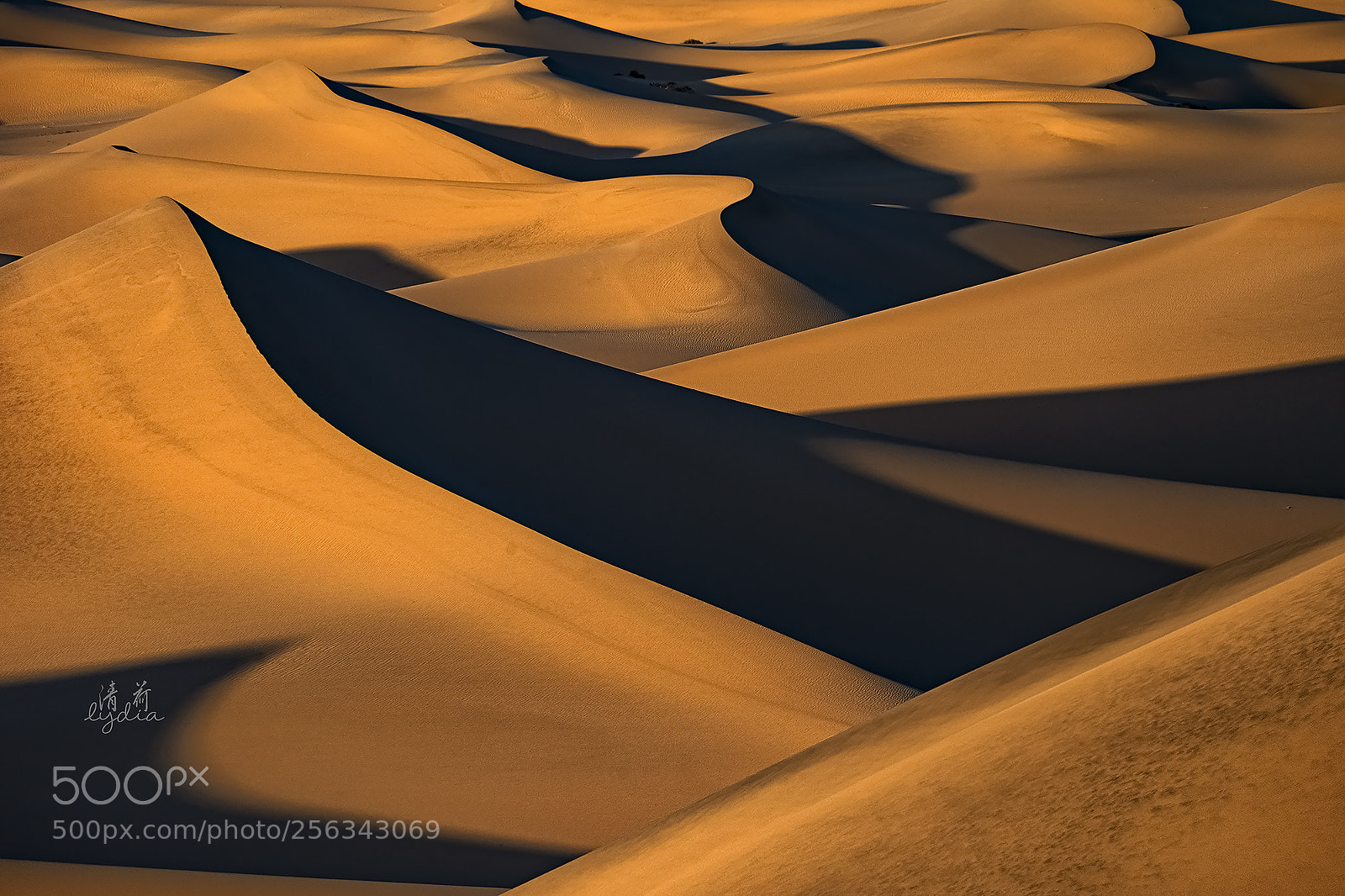 Sony a9 sample photo. Sand waves photography