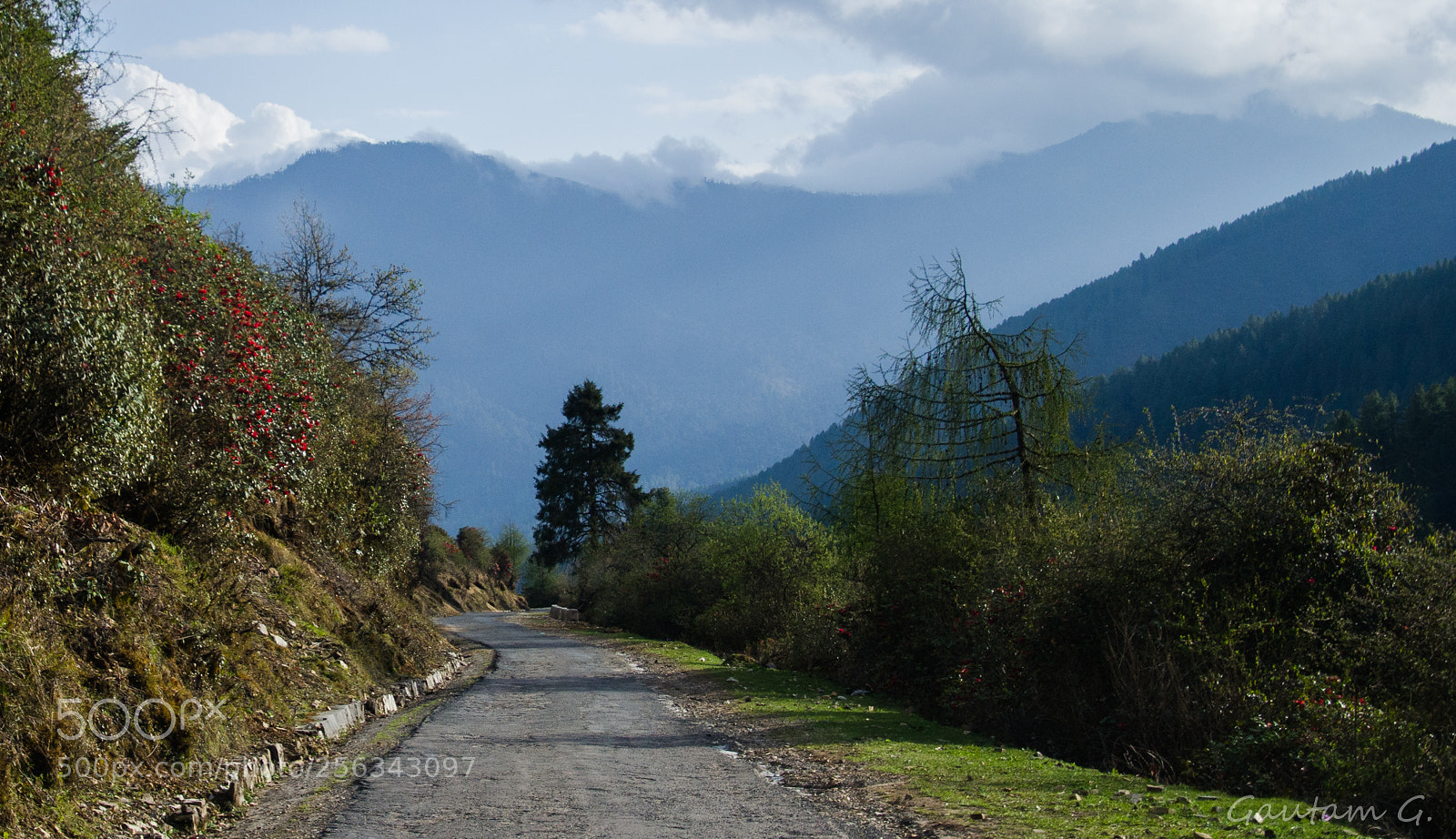 Nikon D7000 sample photo. Along the road photography