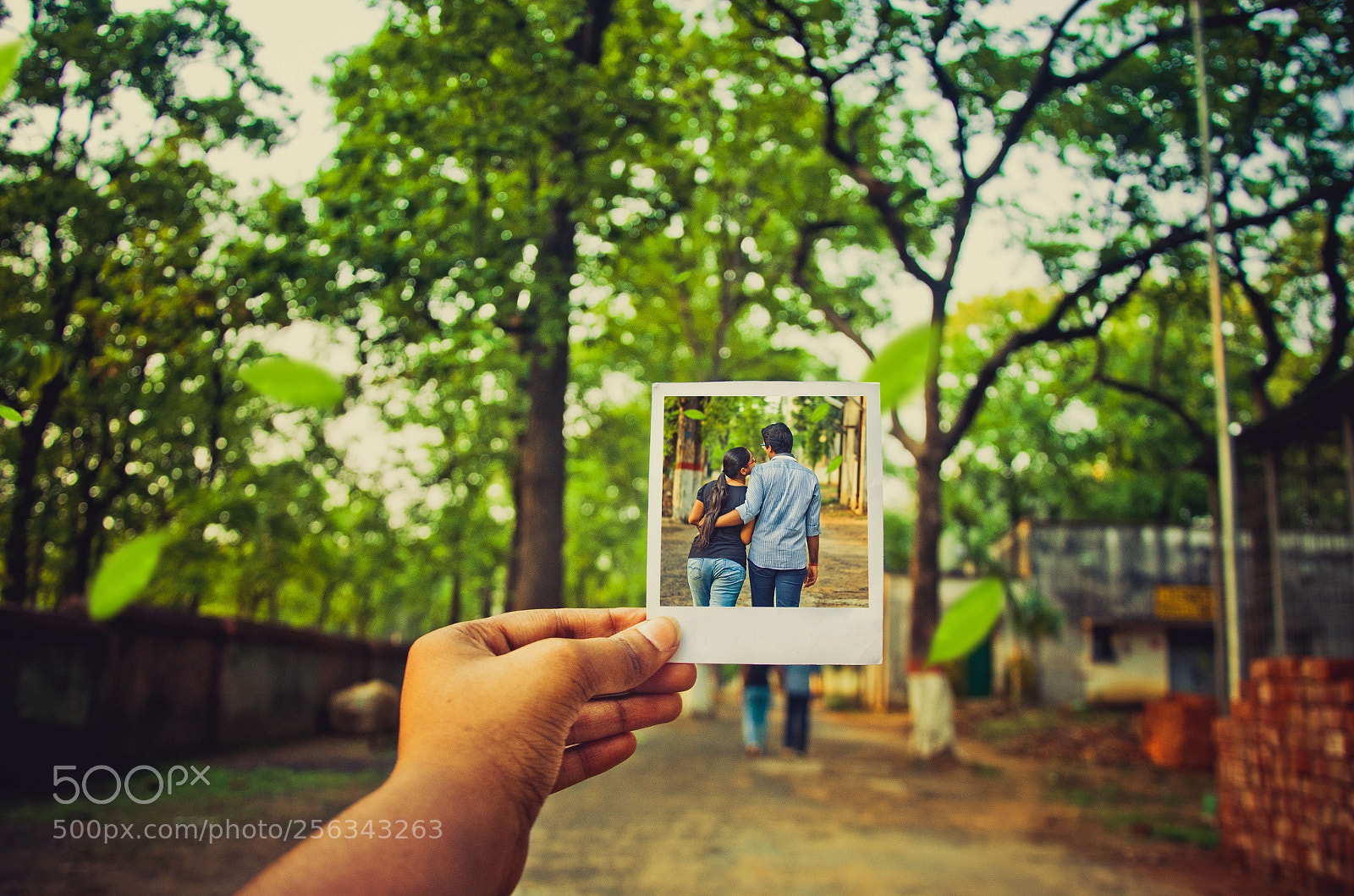 Nikon D7000 sample photo. Frame photography