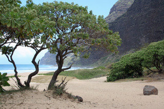Canon EOS 350D (EOS Digital Rebel XT / EOS Kiss Digital N) sample photo. Hawaii beach photography